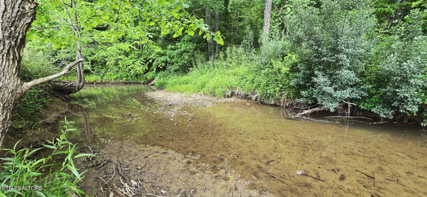 1095 Stanley Creek Road Oneida TN 37841