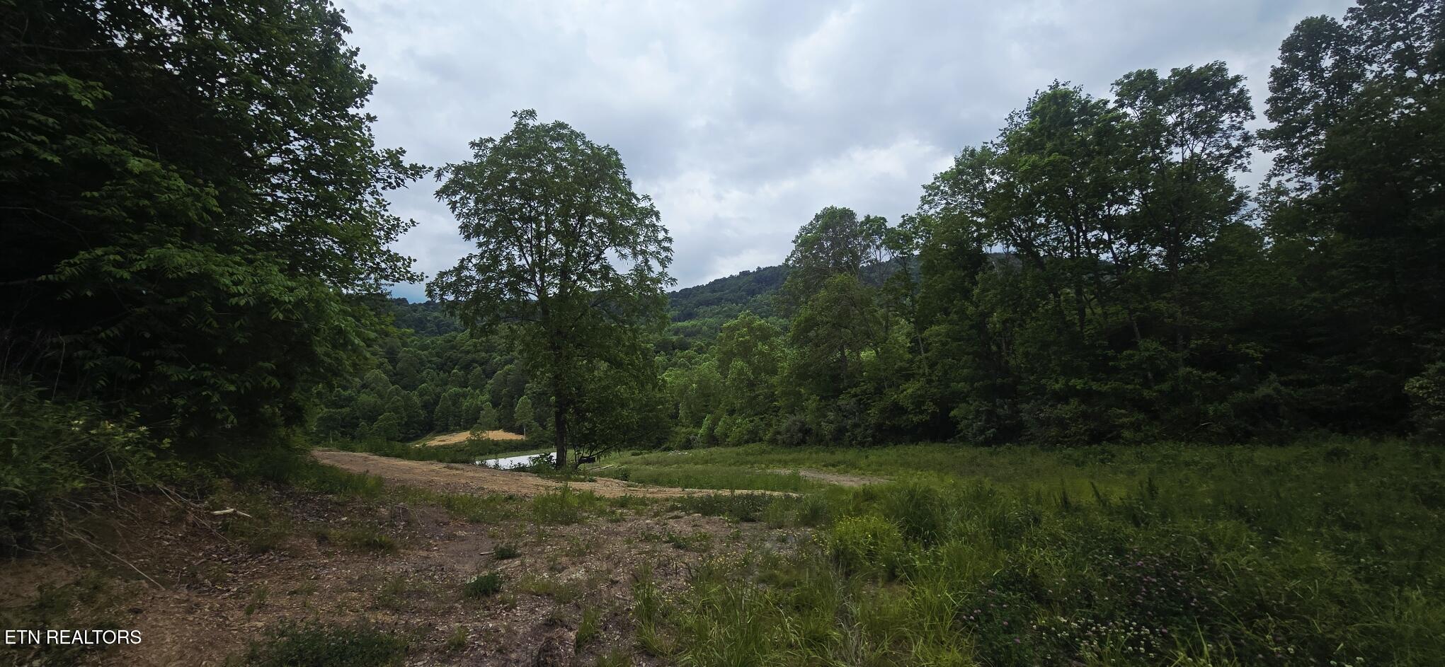 1095 Stanley Creek Road Oneida TN 37841