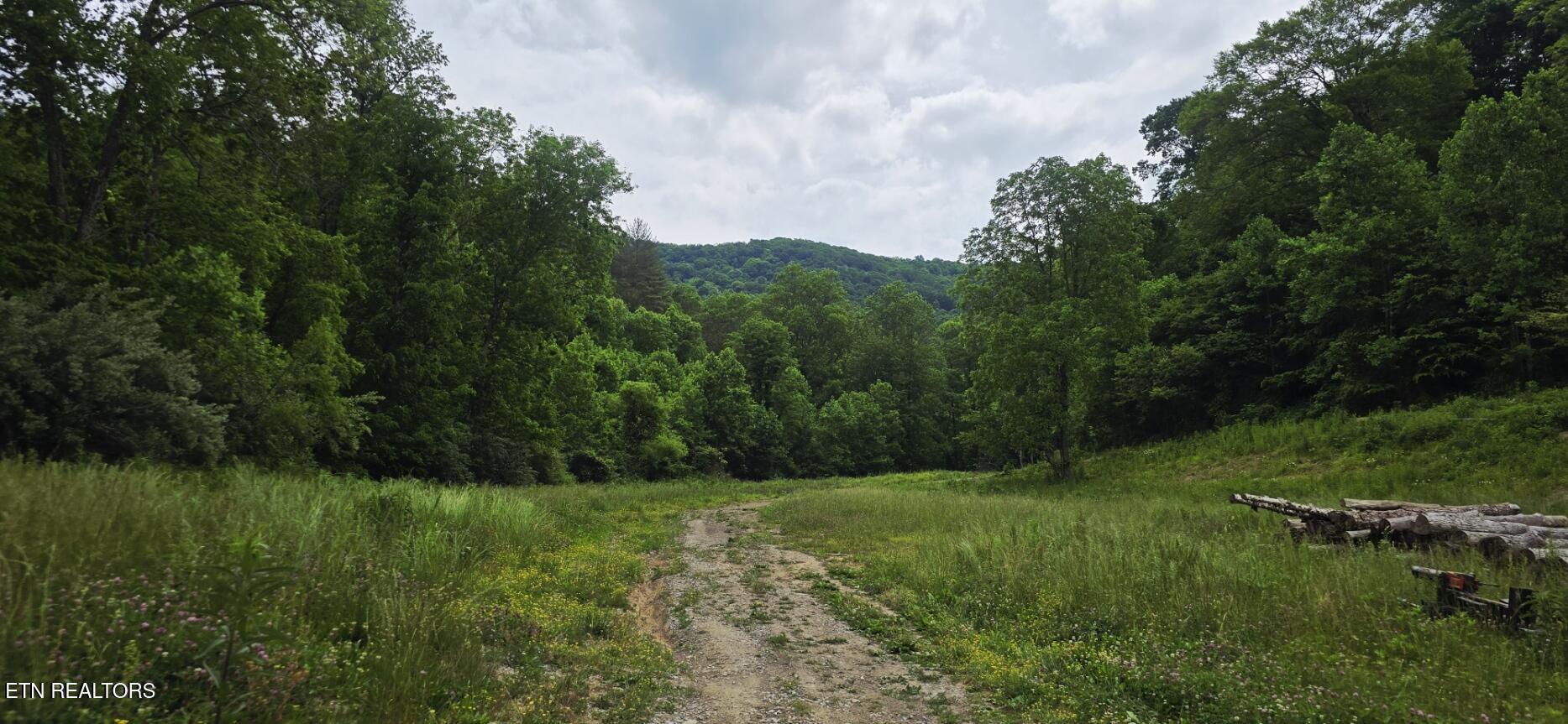 1095 Stanley Creek Road Oneida TN 37841