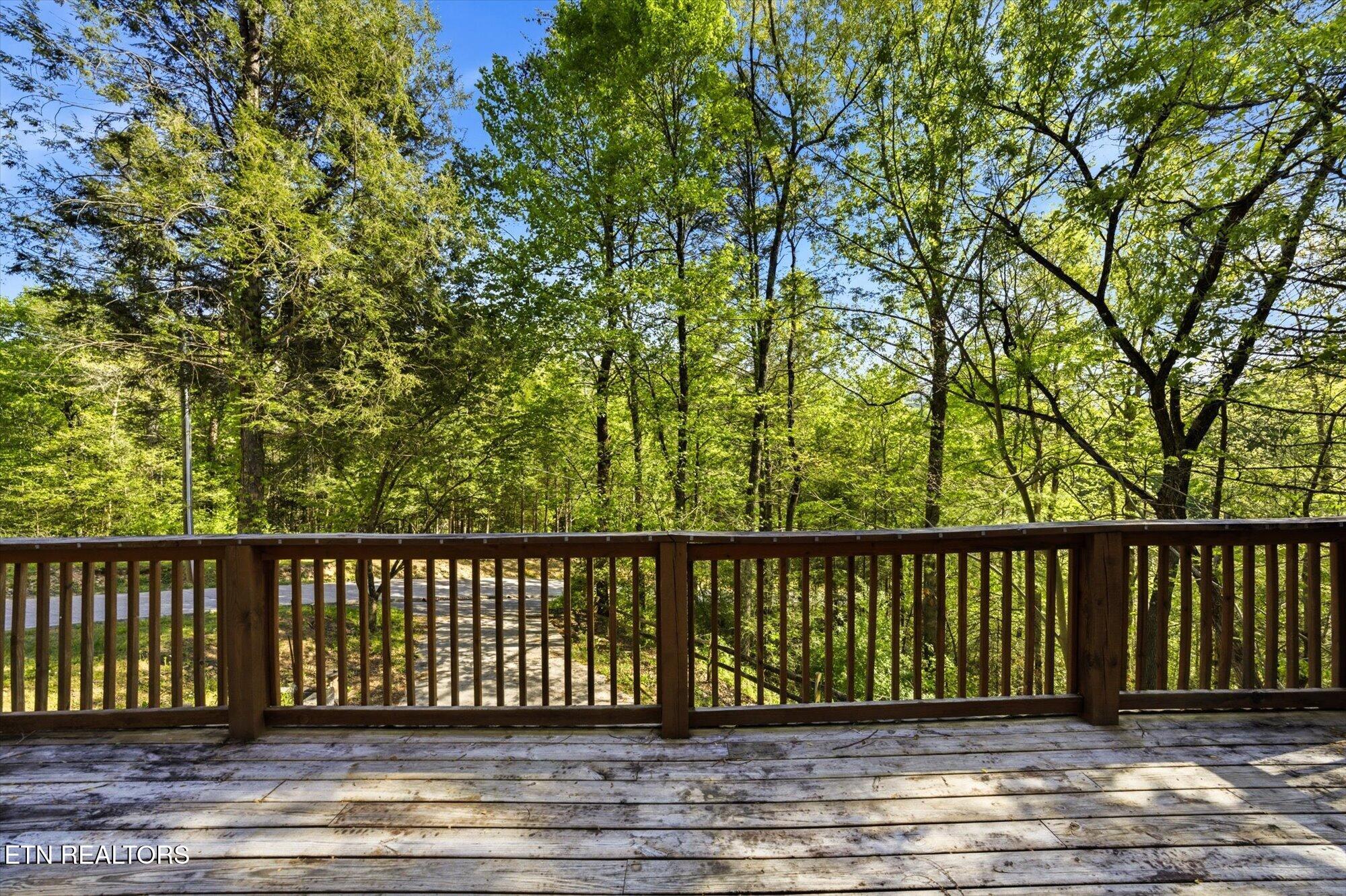 803 Kerrys View Way Pigeon Forge TN 37863