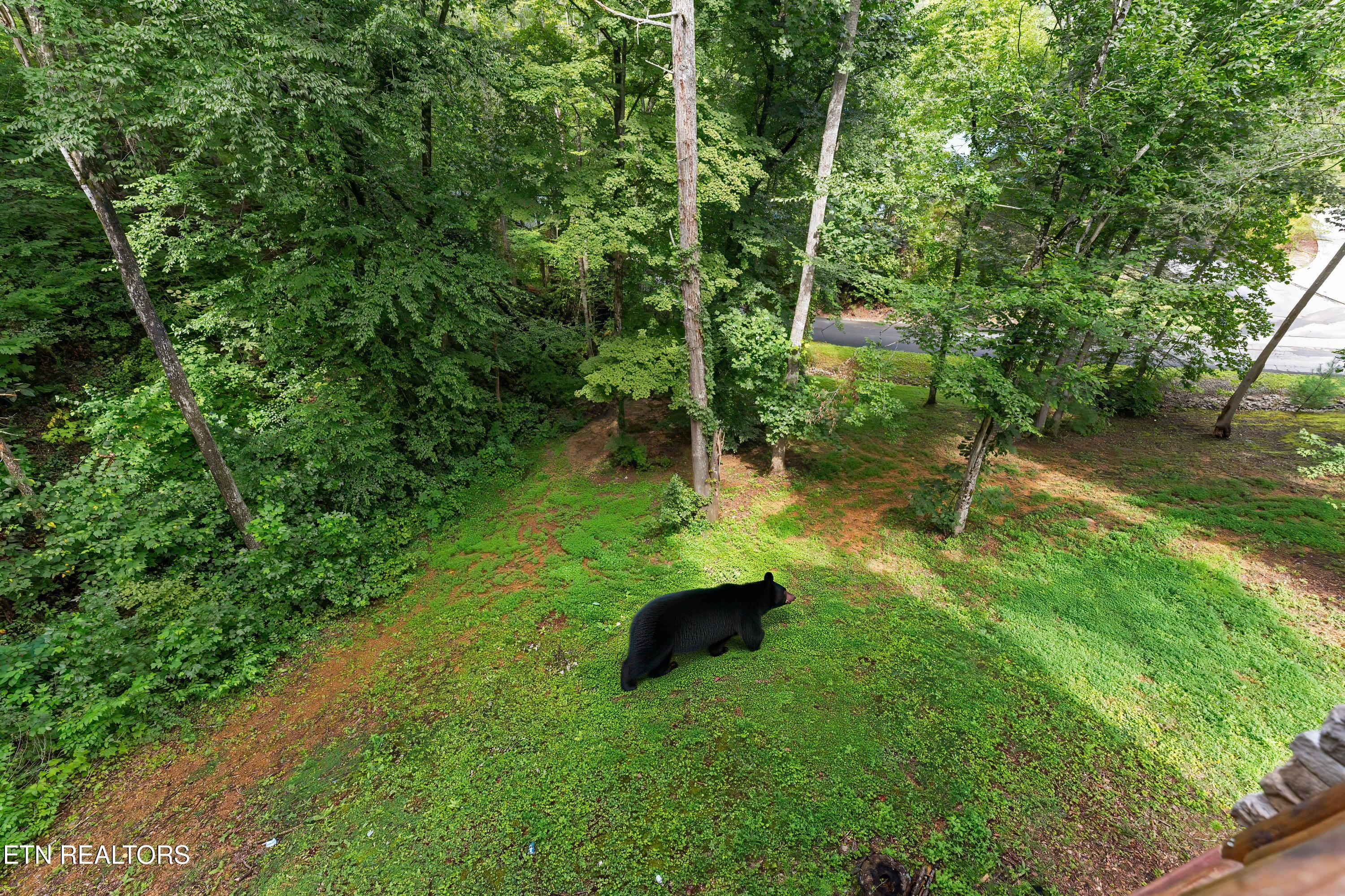 2706 Owls Cove Way Sevierville TN 37862