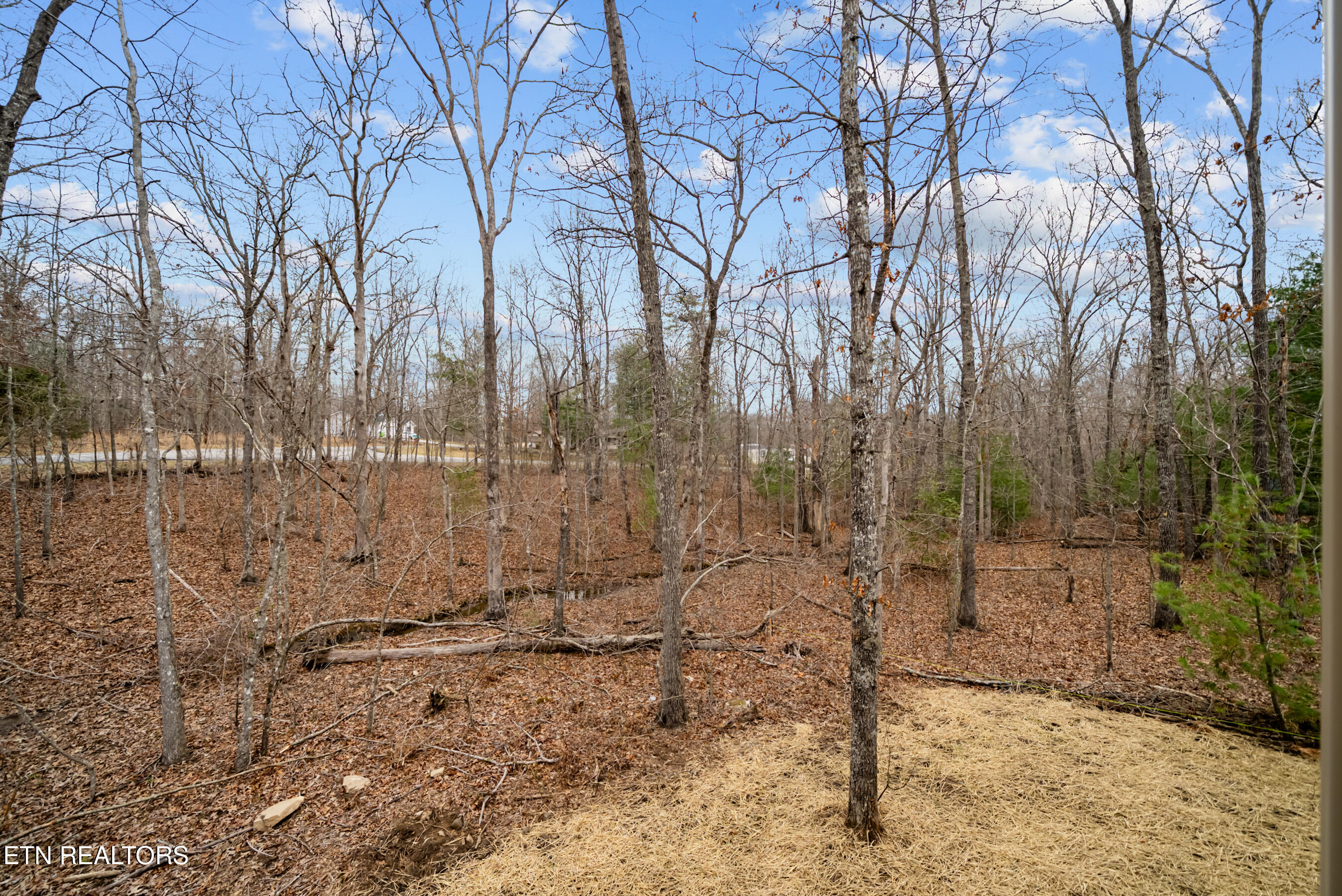 7058 Topez Drive Crossville TN 38572