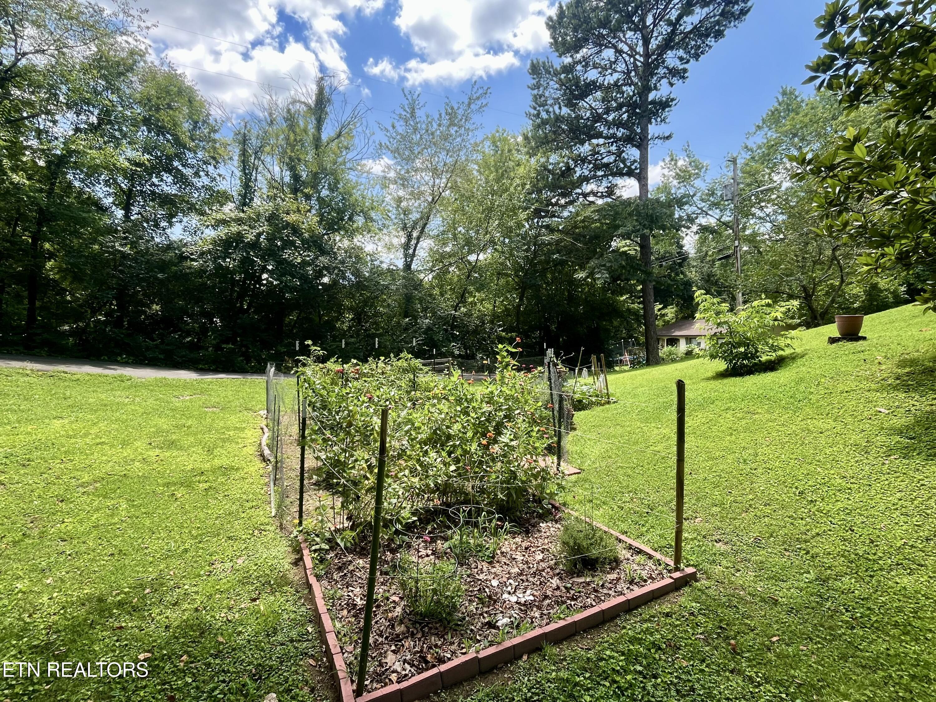 312 Finley Drive Lenoir City TN 37771