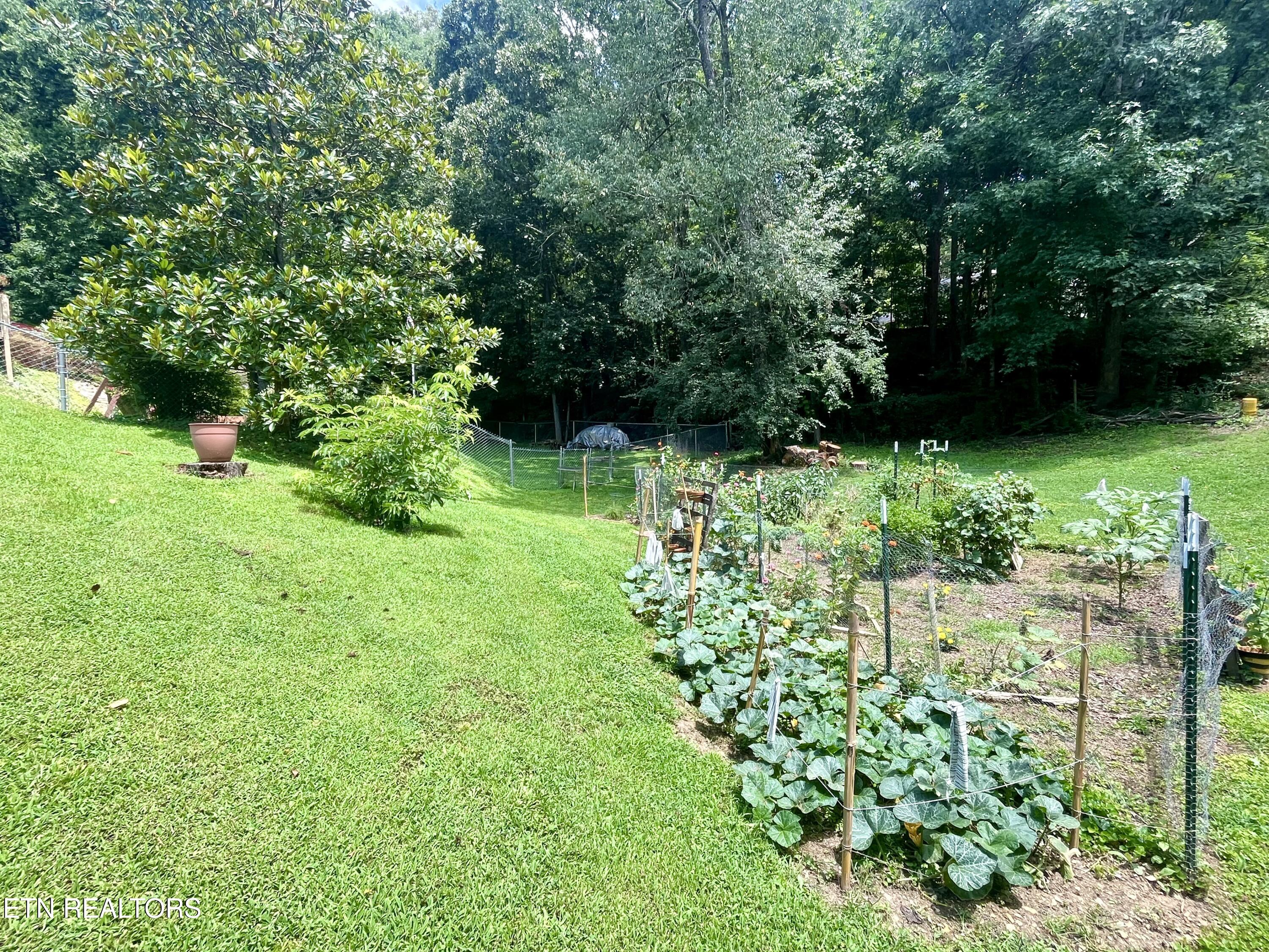 312 Finley Drive Lenoir City TN 37771