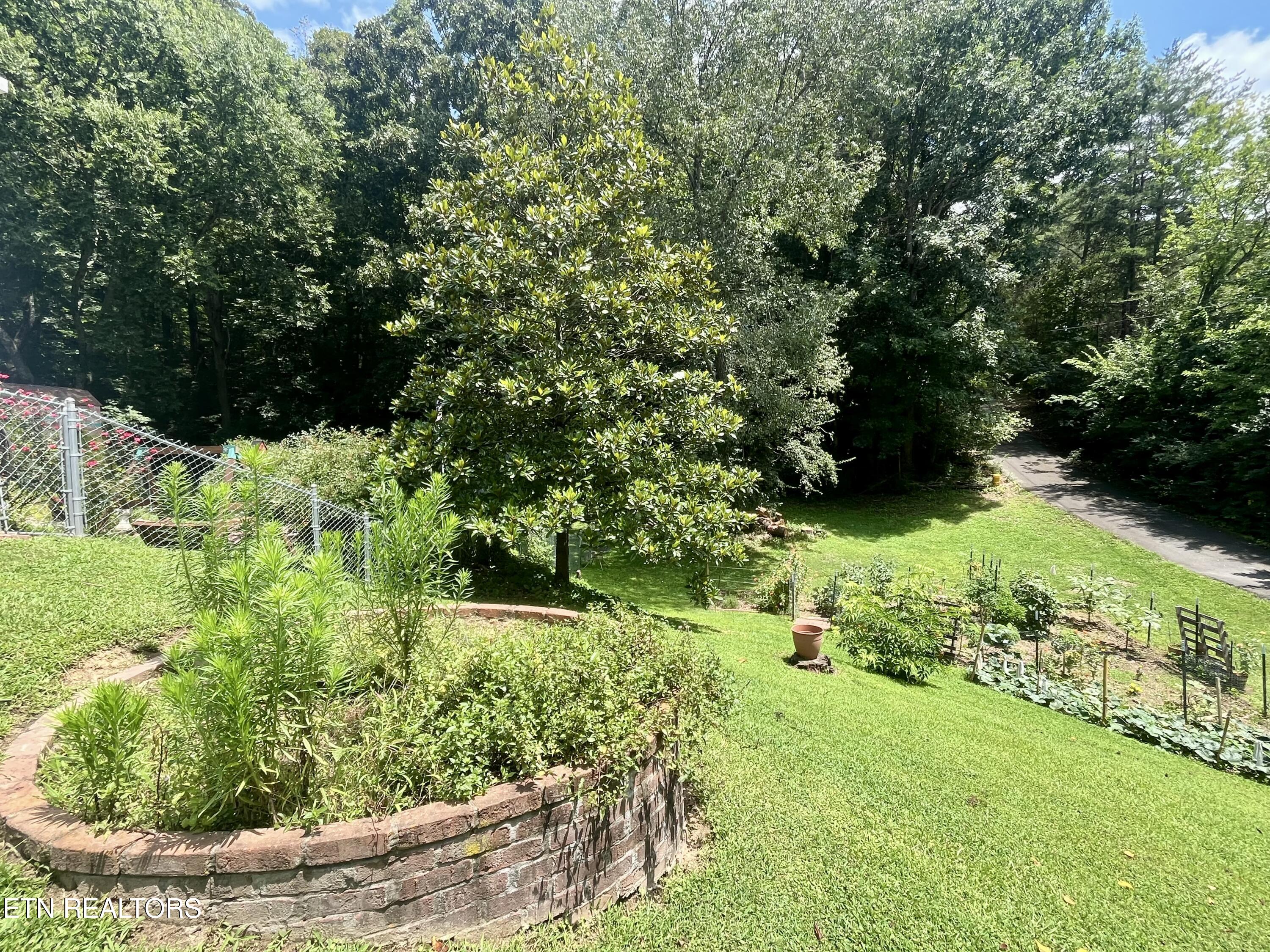 312 Finley Drive Lenoir City TN 37771