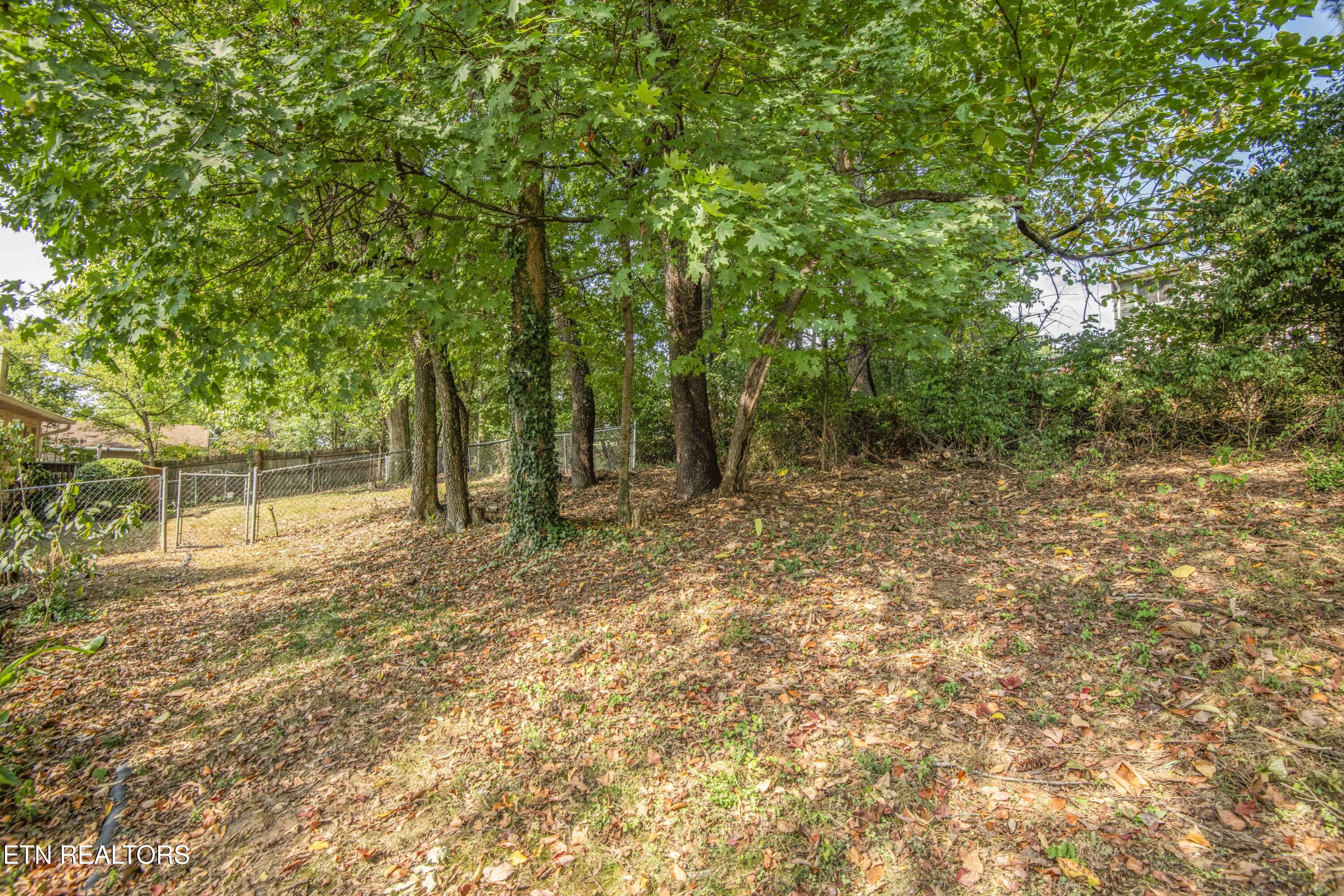 11333 Clear Point Drive Knoxville TN 37932