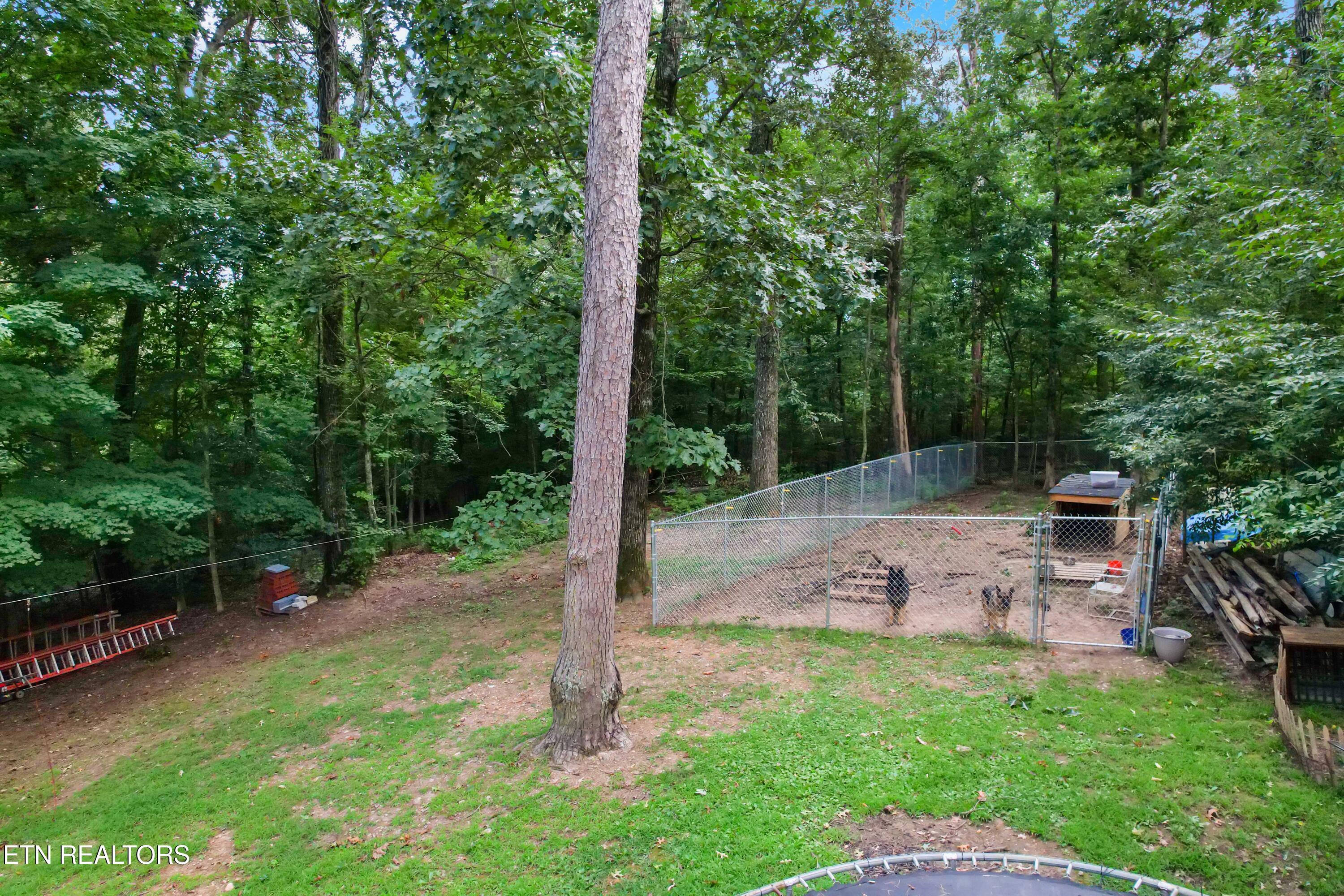 1711 Walnut Hill Lane Sevierville TN 37876