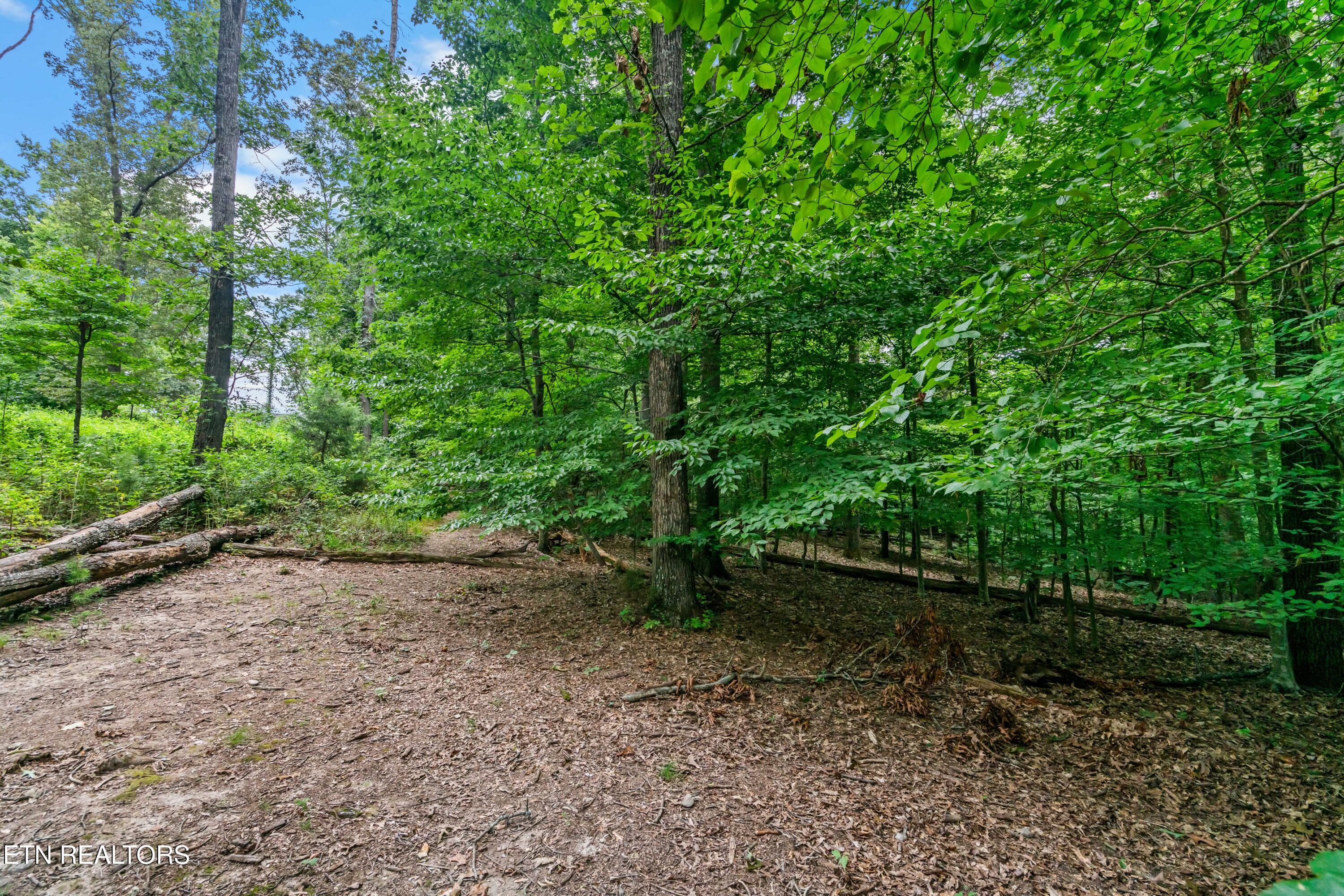 1711 Walnut Hill Lane Sevierville TN 37876