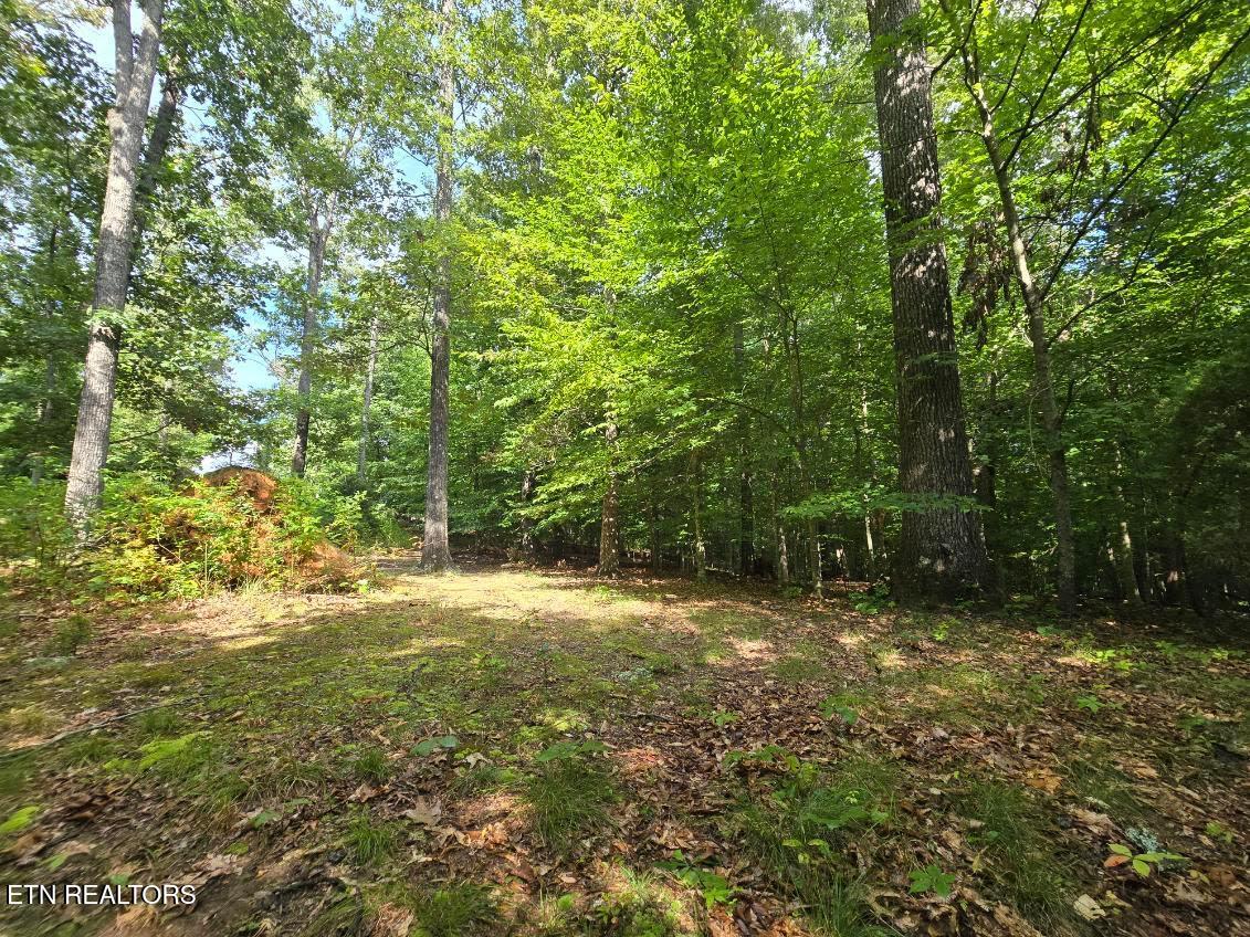 1711 Walnut Hill Lane Sevierville TN 37876