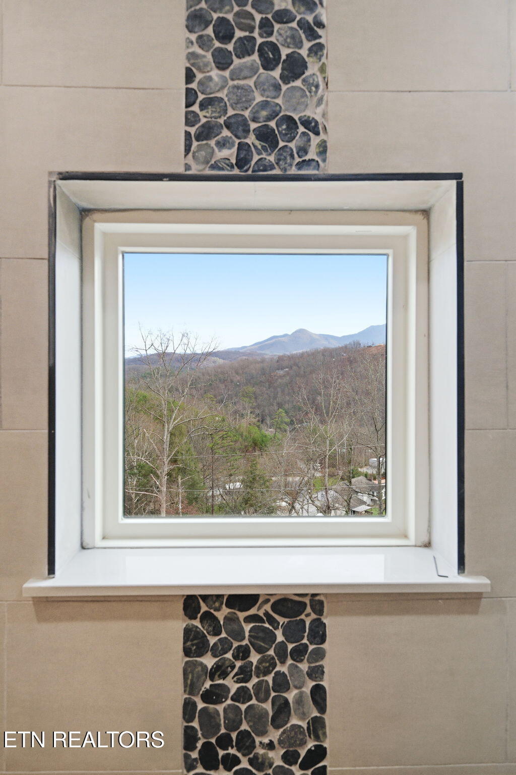 650 Ridge Top Loop Gatlinburg TN 37738