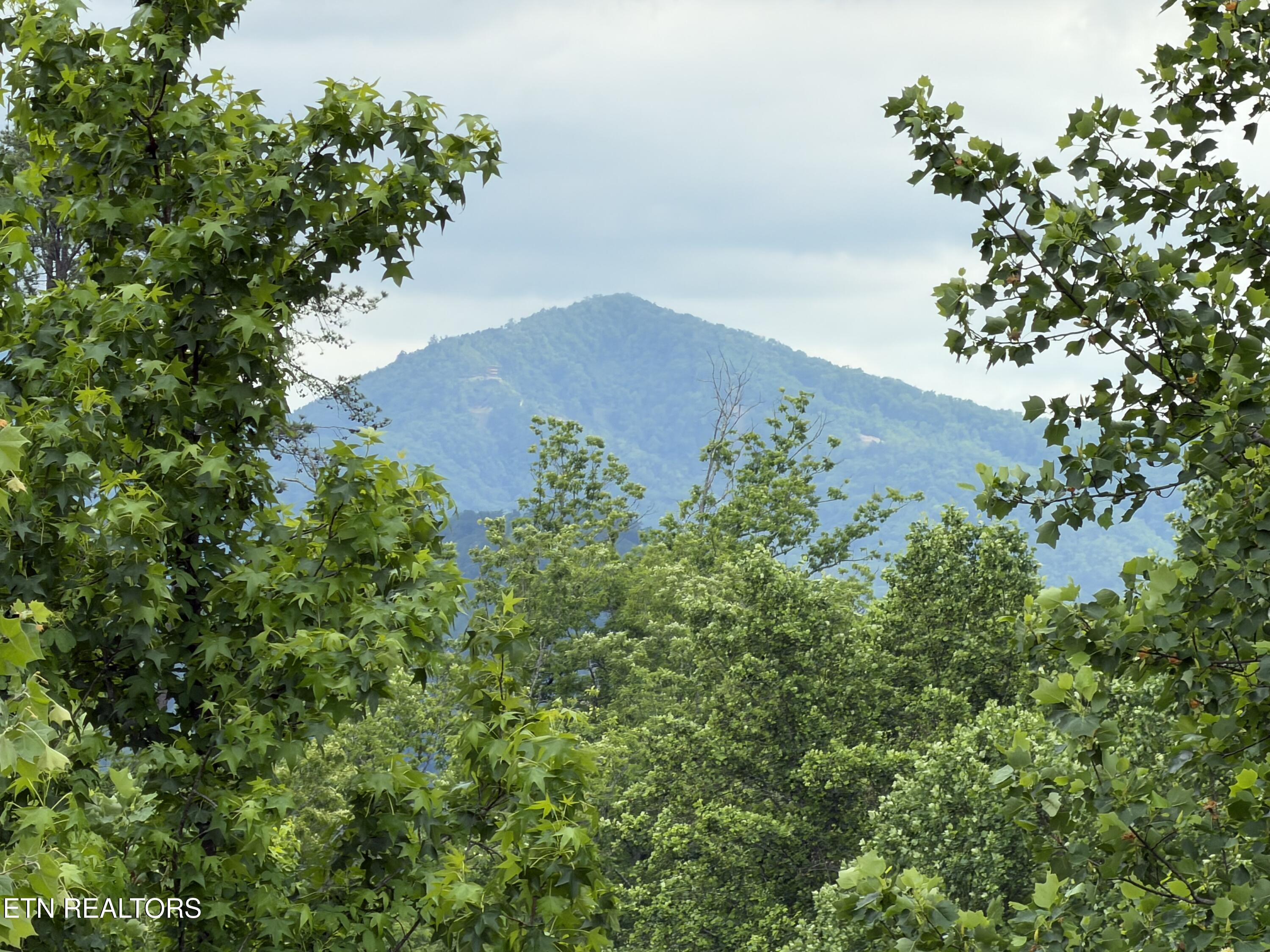 1924 Walker Trail Sevierville TN 37876