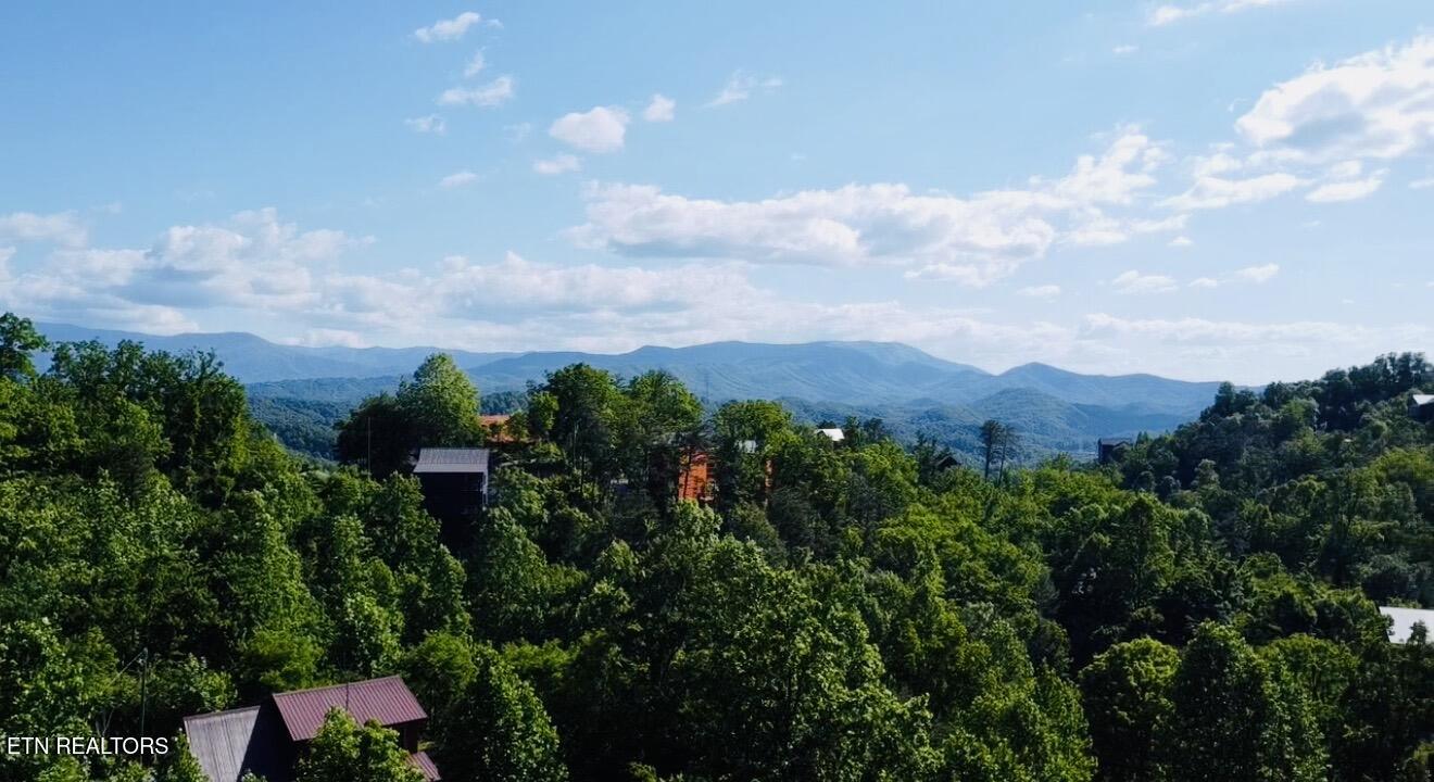 1924 Walker Trail Sevierville TN 37876