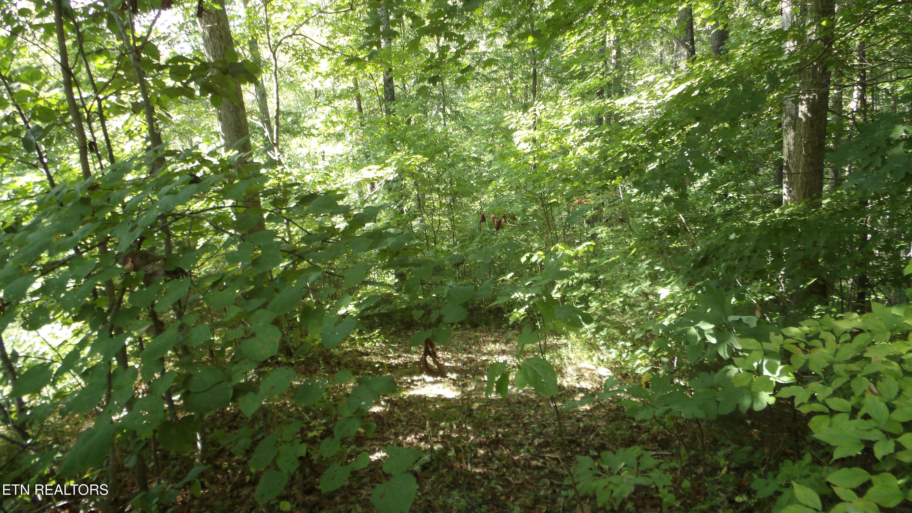 4179 Old Livingston Highway Celina TN 38551