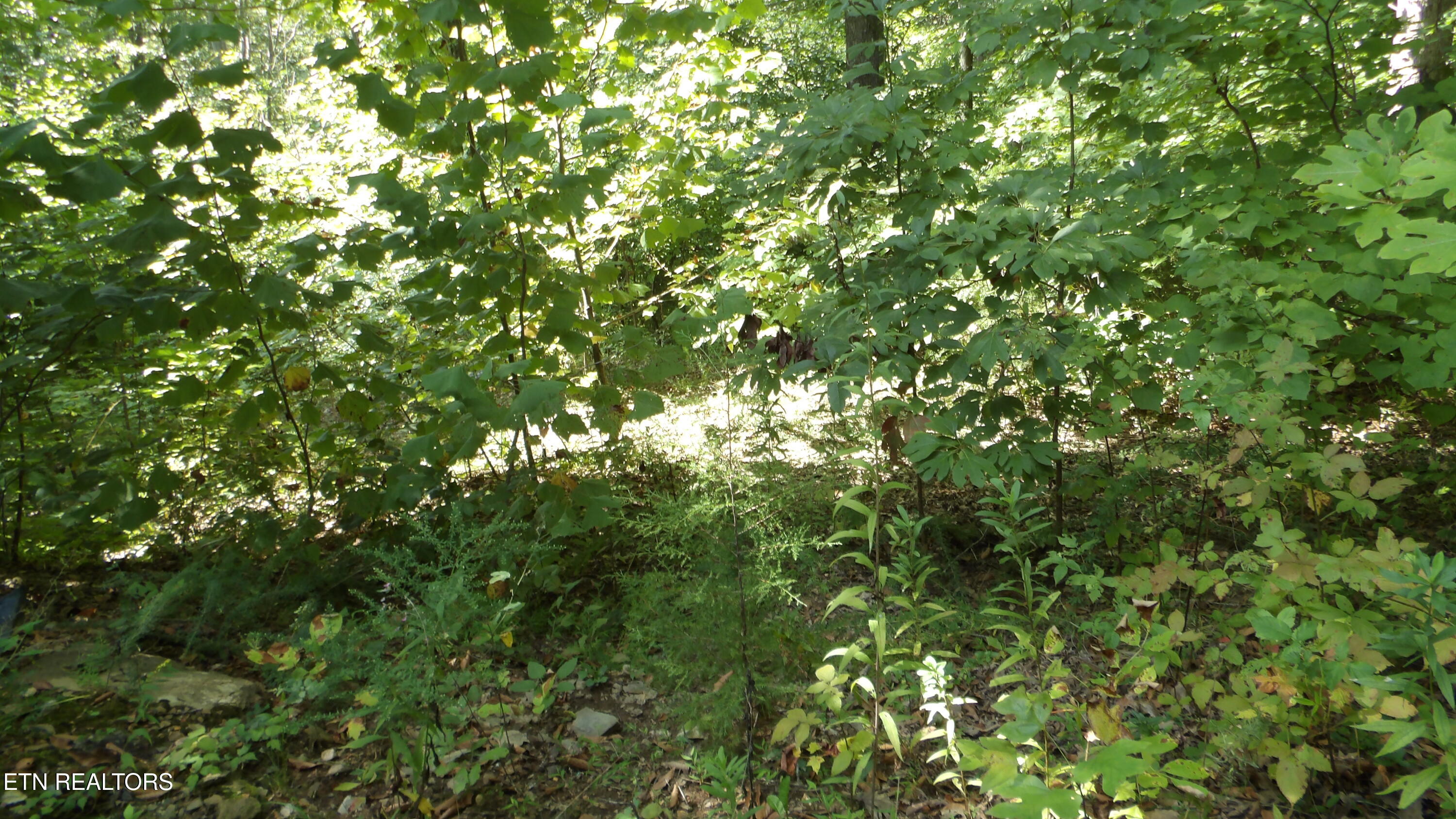 4179 Old Livingston Highway Celina TN 38551