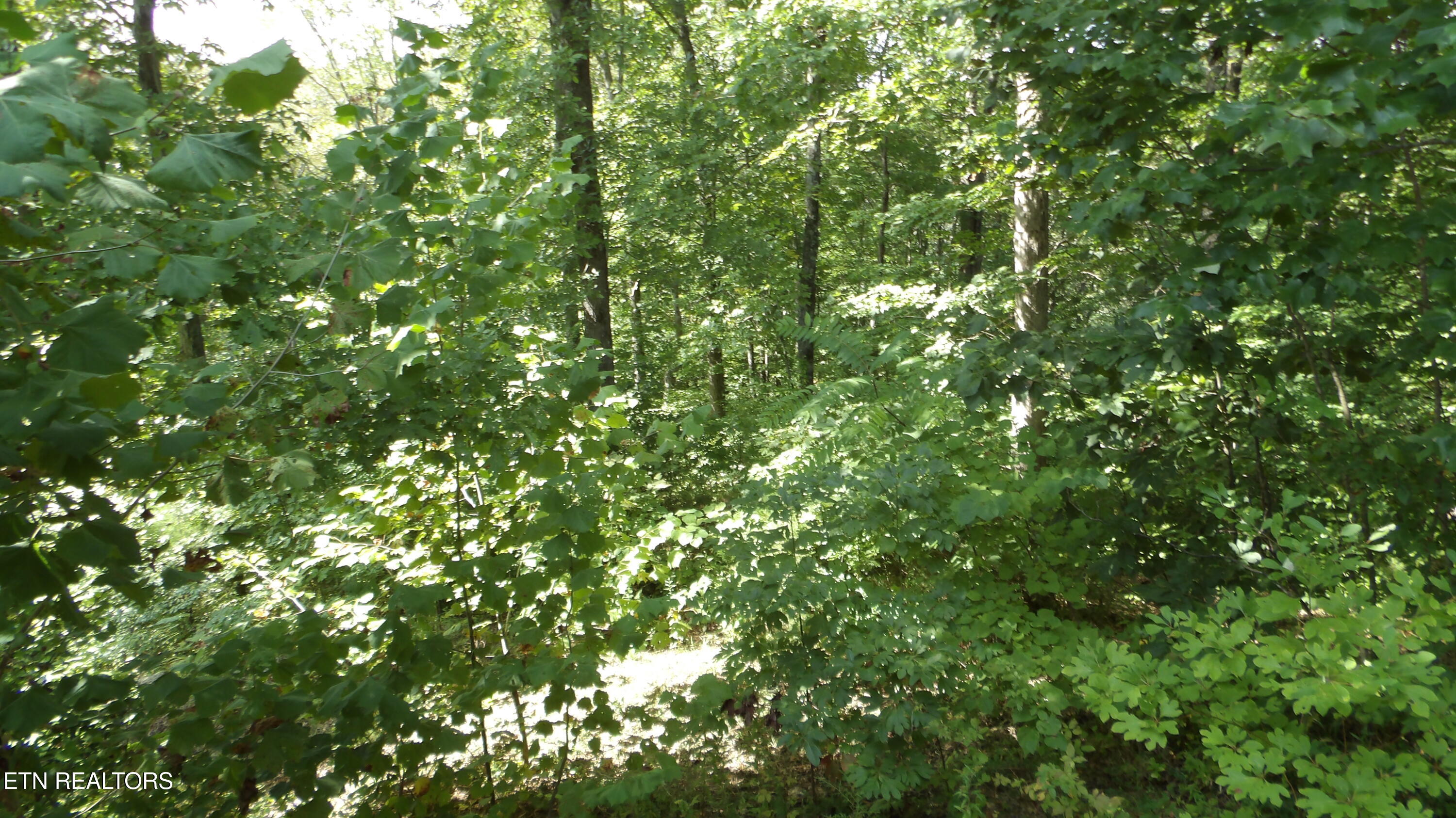 4179 Old Livingston Highway Celina TN 38551