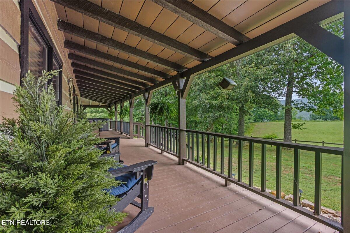 160 Rural Vale Road Tellico Plains TN 37385