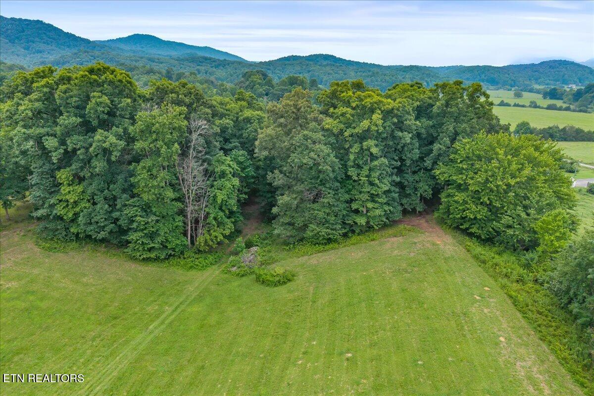 160 Rural Vale Road Tellico Plains TN 37385