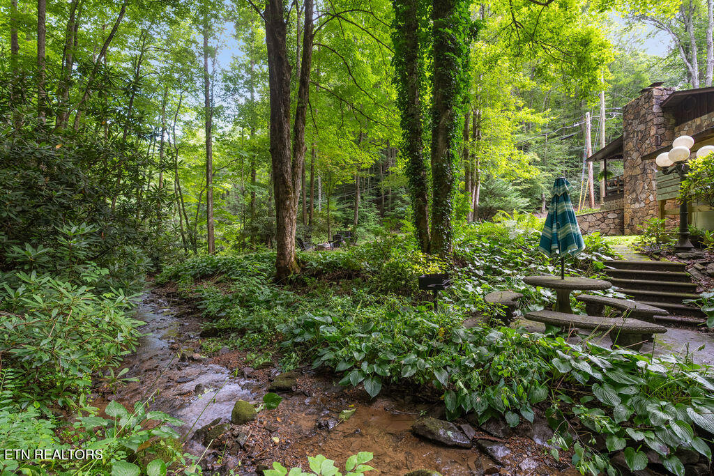514 Butler Branch Road Gatlinburg TN 37738