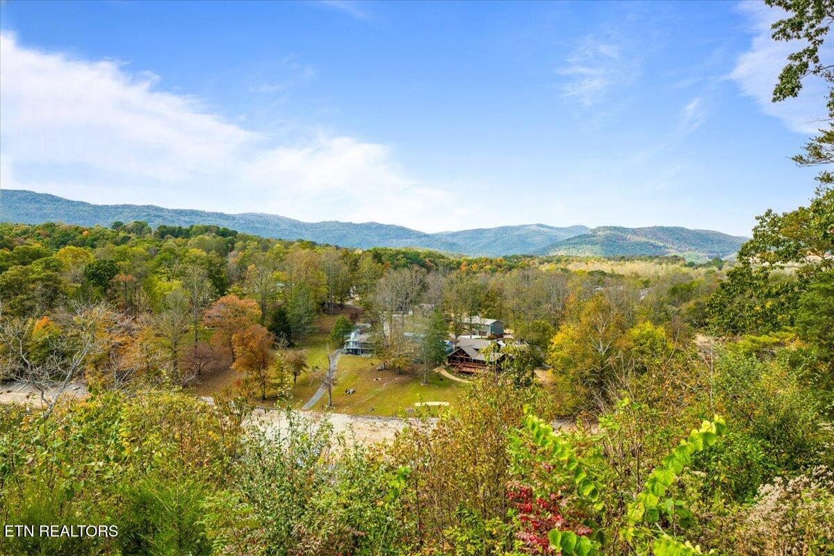 262 Bluff Trace Jacksboro TN 37757