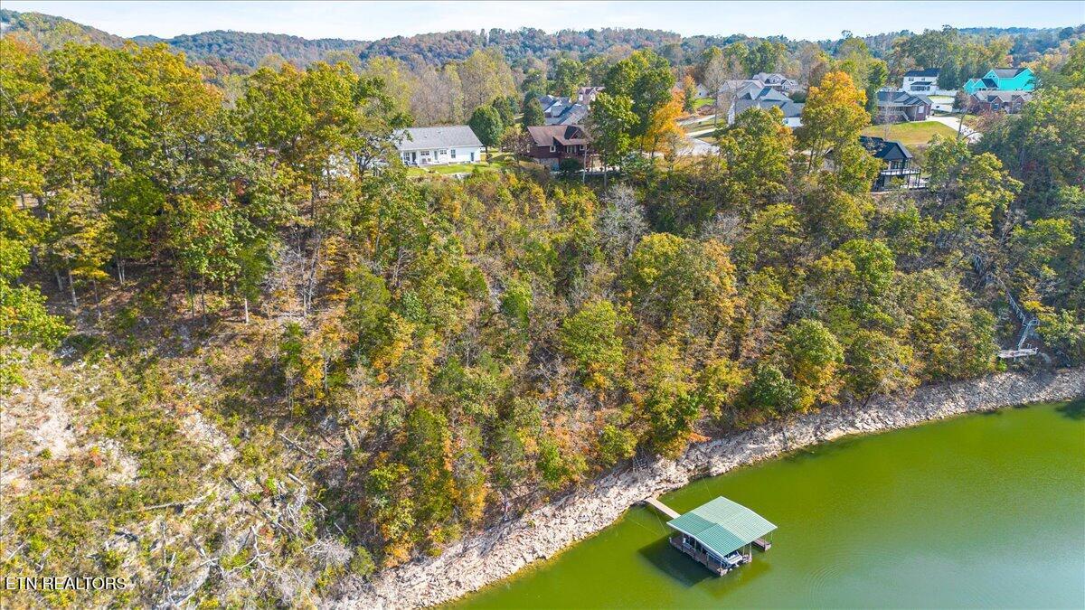262 Bluff Trace Jacksboro TN 37757