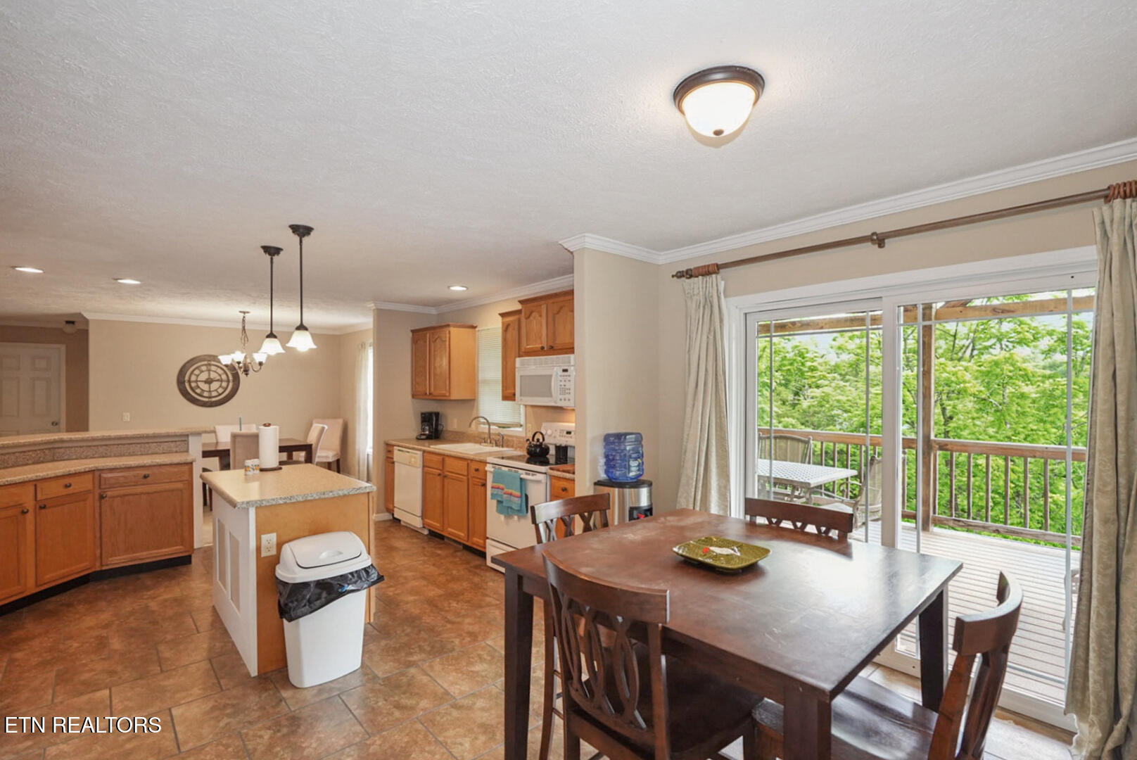 1366 Paradise Lane Dandridge TN 37725