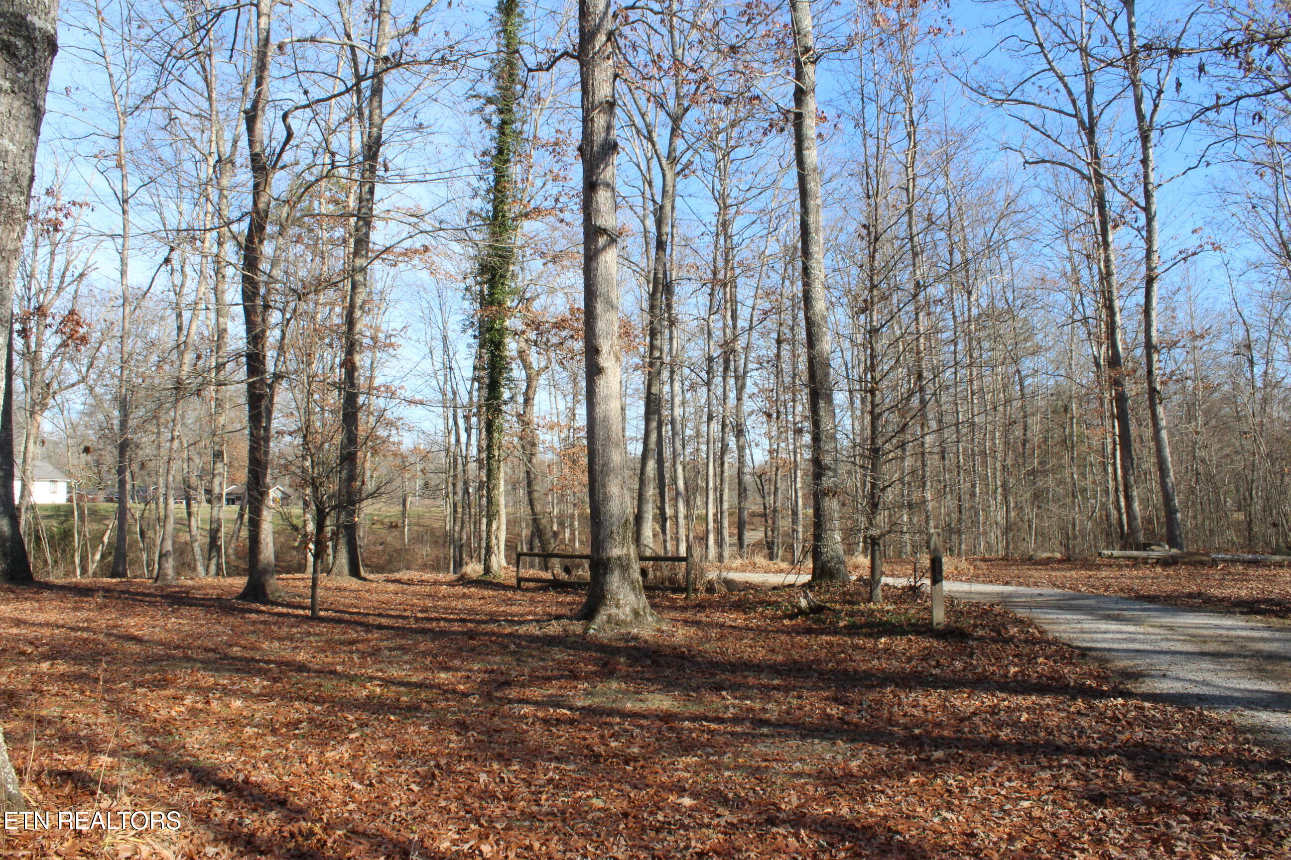 2510 Tinchtown Road Jamestown TN 38556