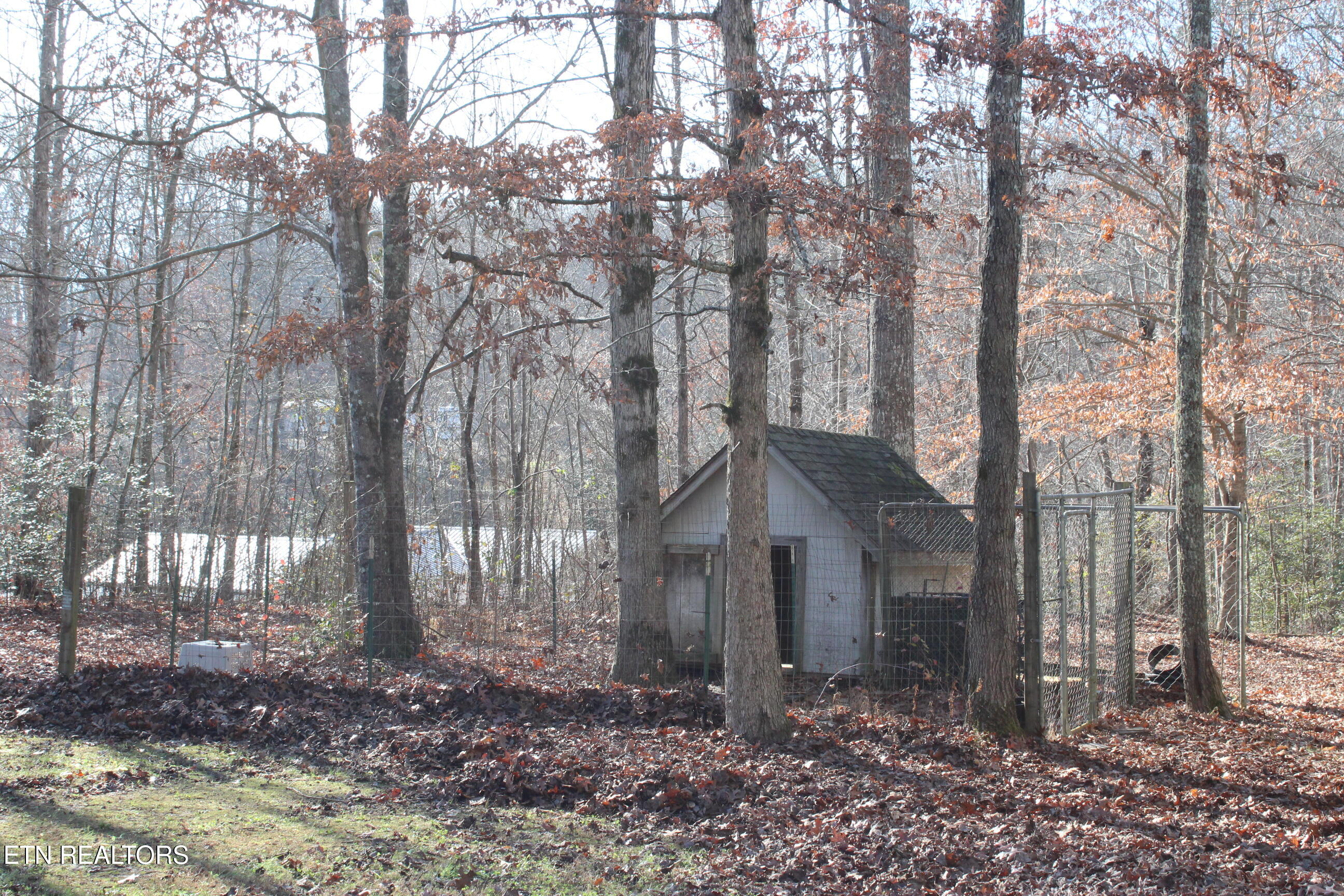 2510 Tinchtown Road Jamestown TN 38556