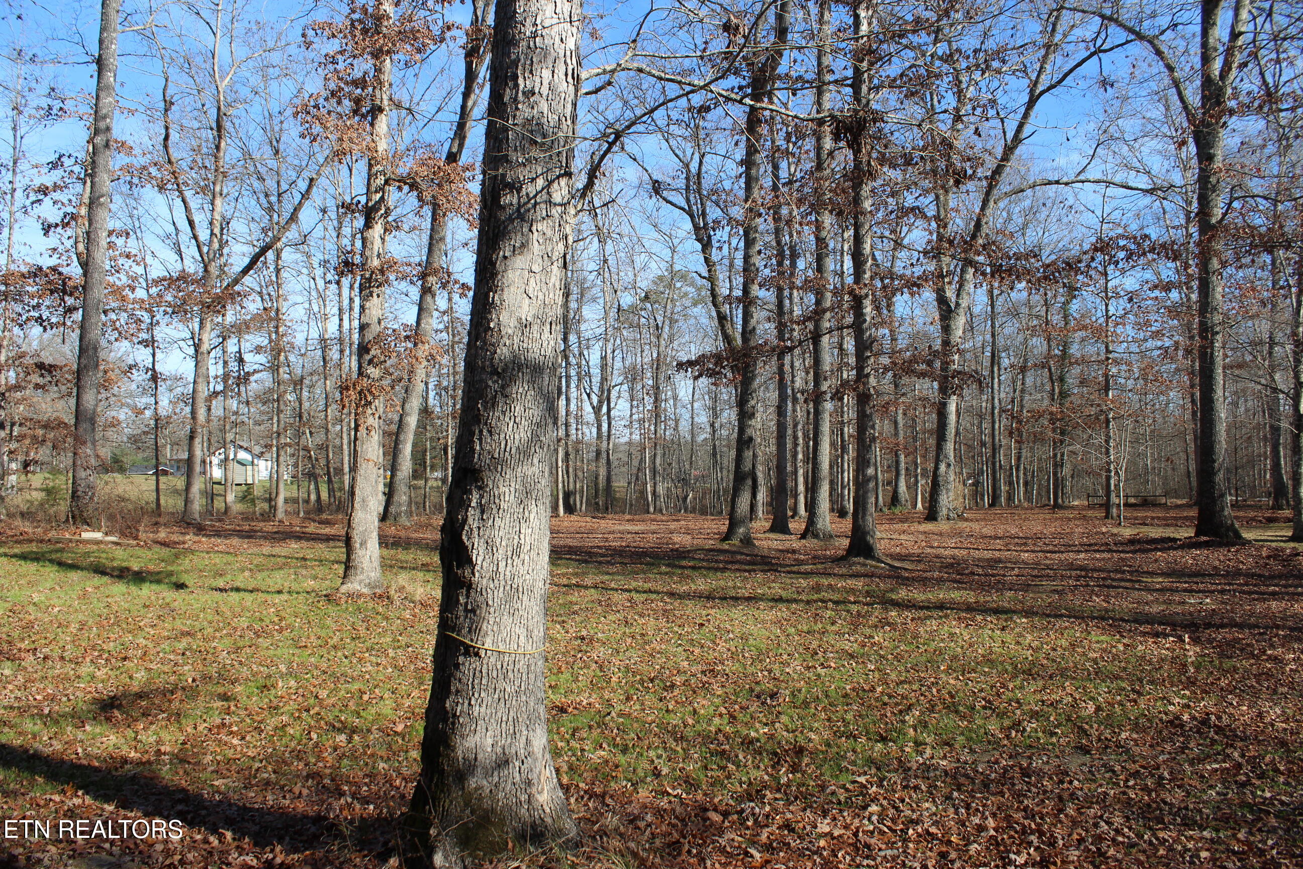 2510 Tinchtown Road Jamestown TN 38556