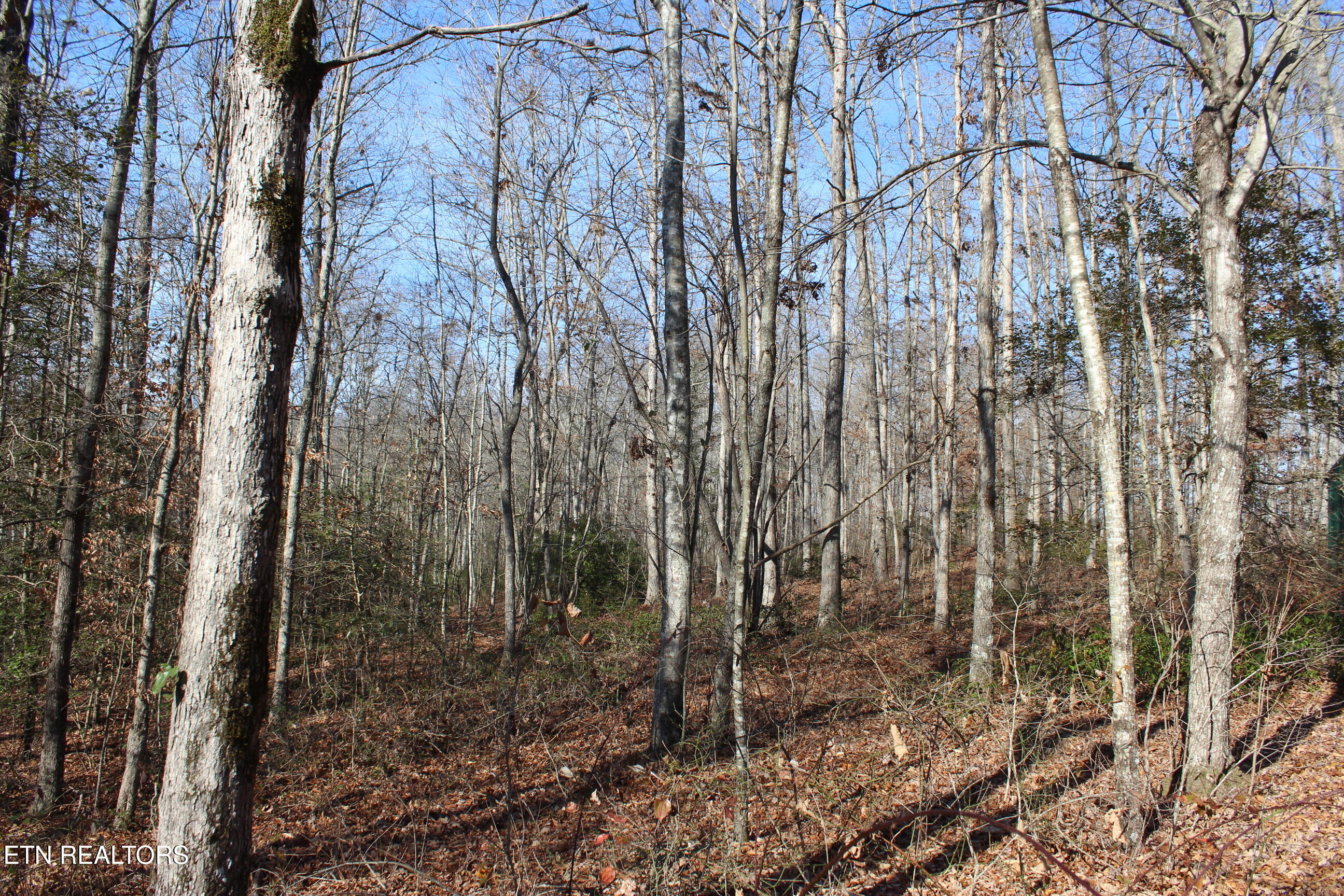 2510 Tinchtown Road Jamestown TN 38556