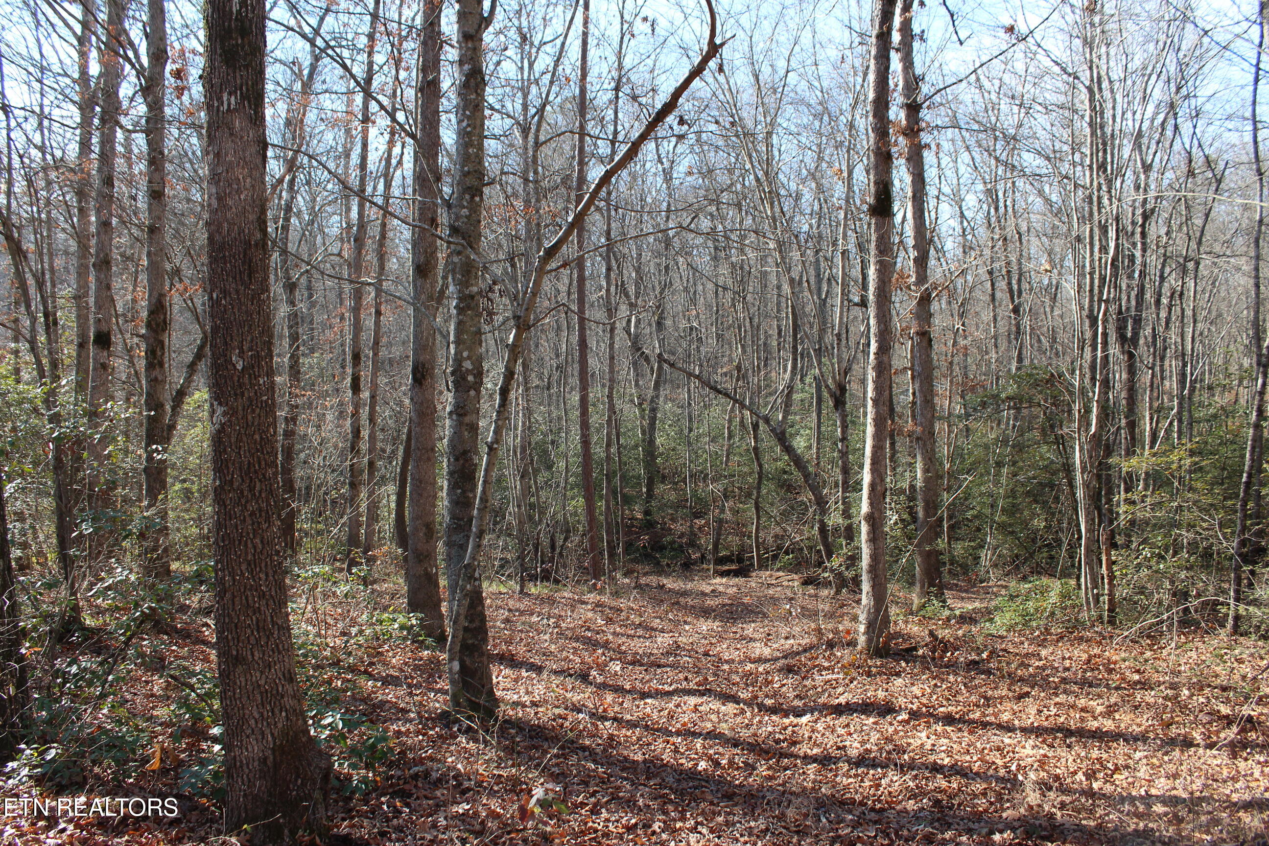 2510 Tinchtown Road Jamestown TN 38556