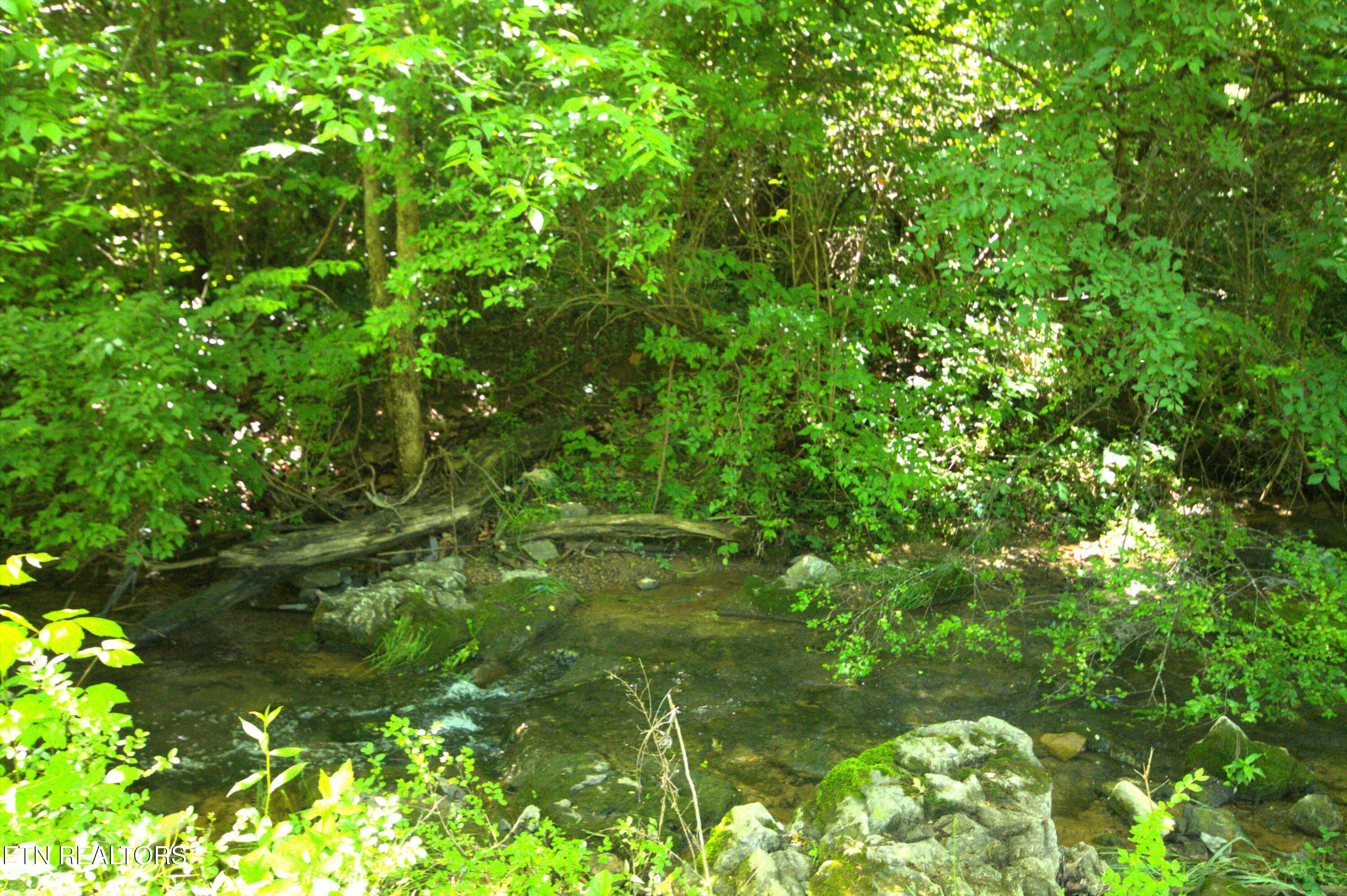 724 Lower Quarry Road Newport TN 37821