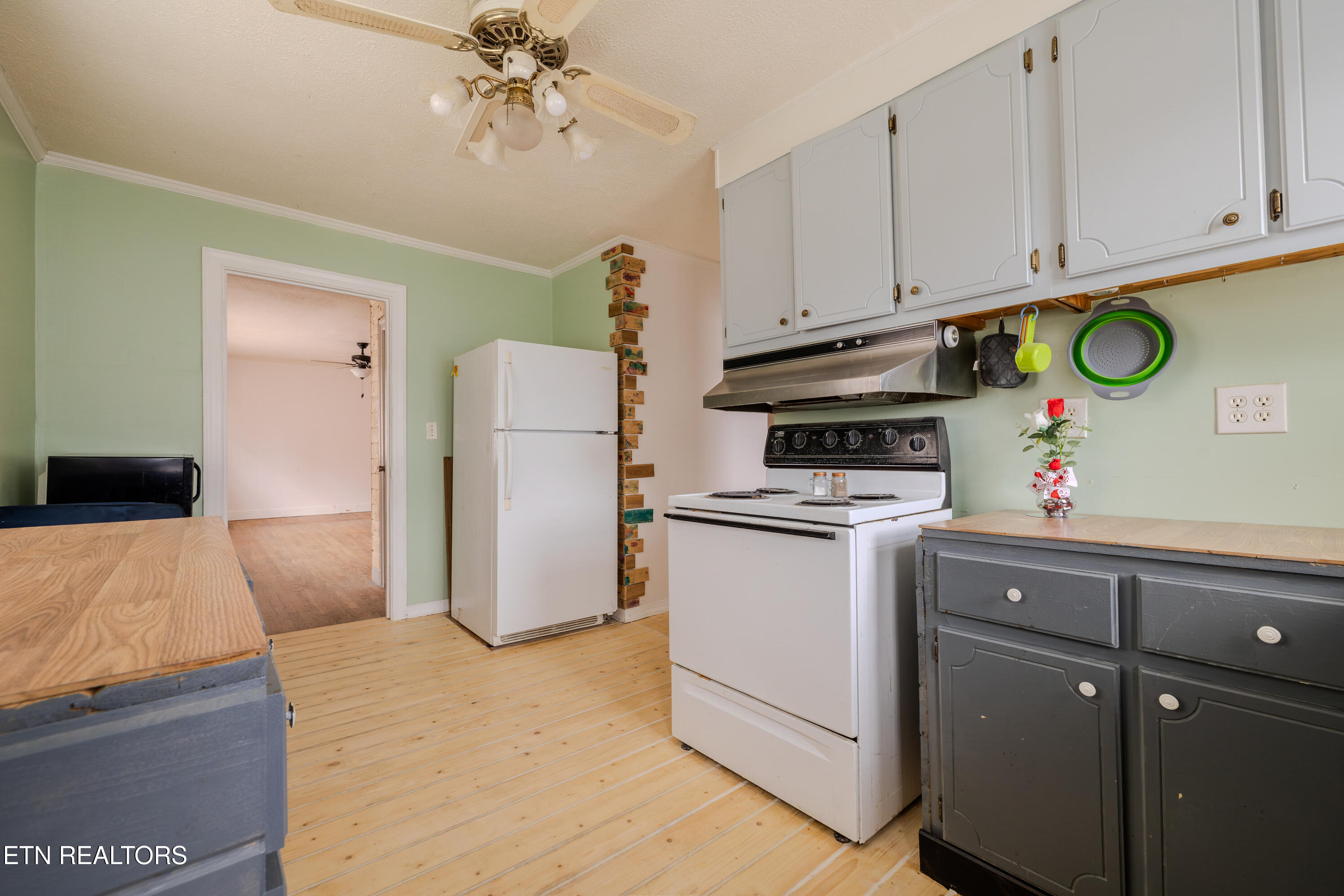 305 W Bronson Street Sparta TN 38583