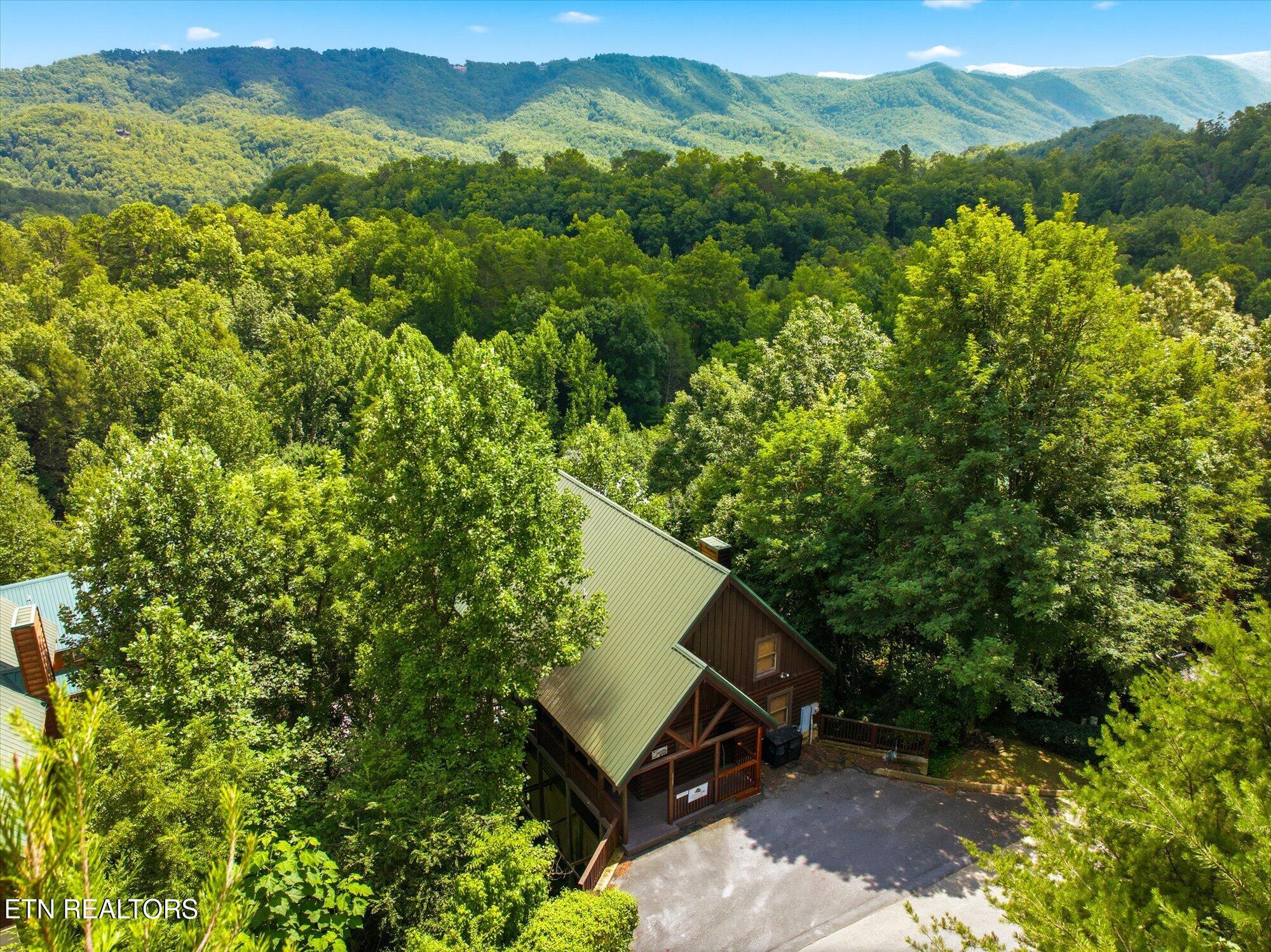 4523 Forest Vista Way Pigeon Forge TN 37863