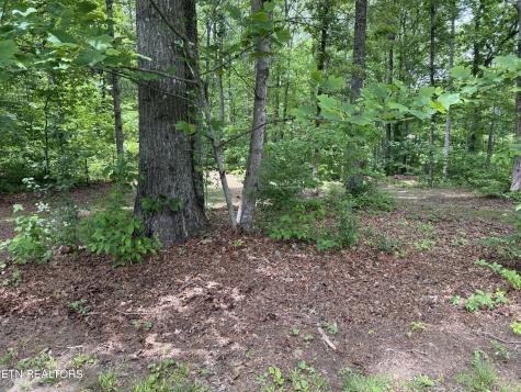 3422 Airport Road Rockwood TN 37854