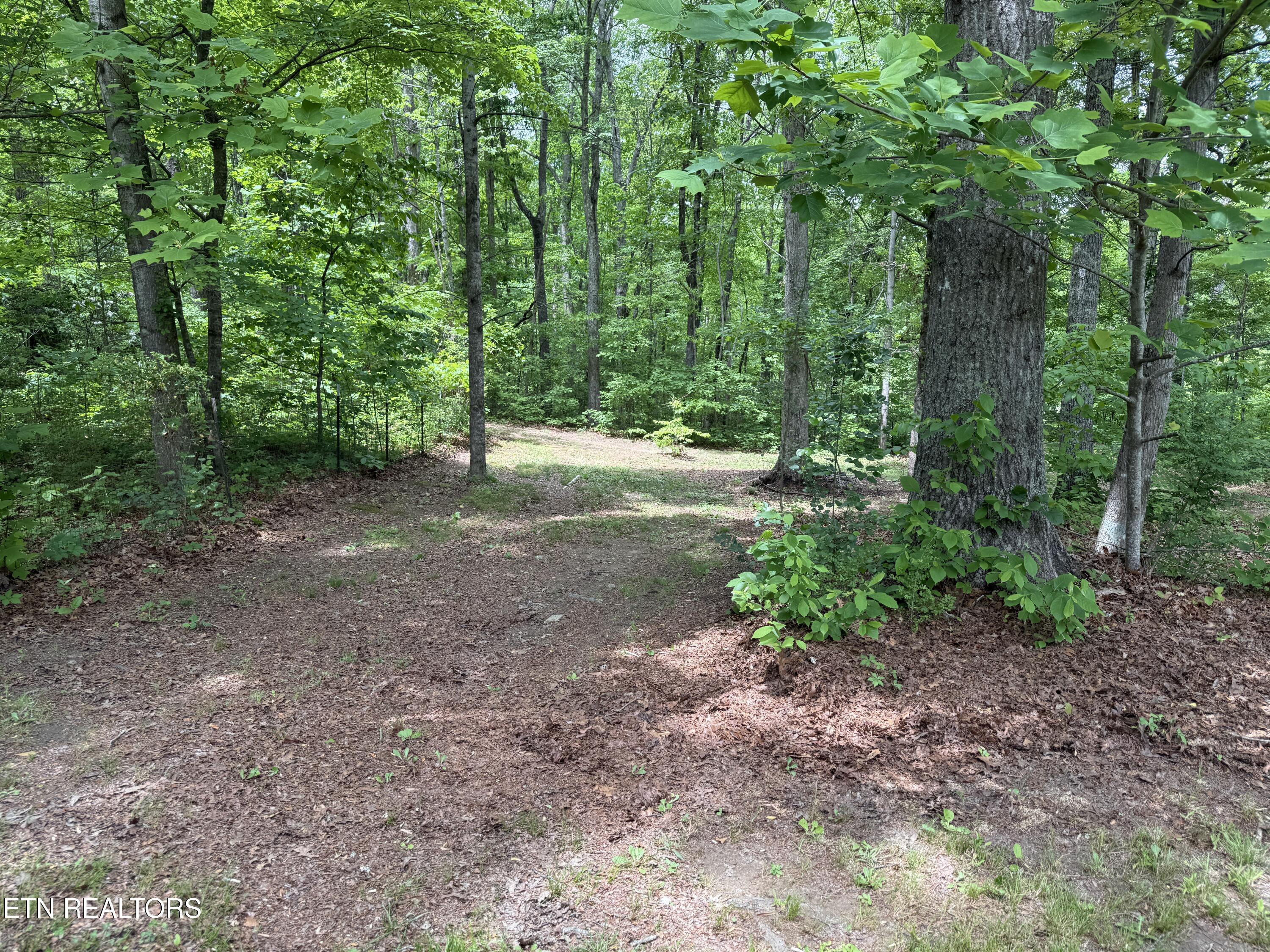 3422 Airport Road Rockwood TN 37854
