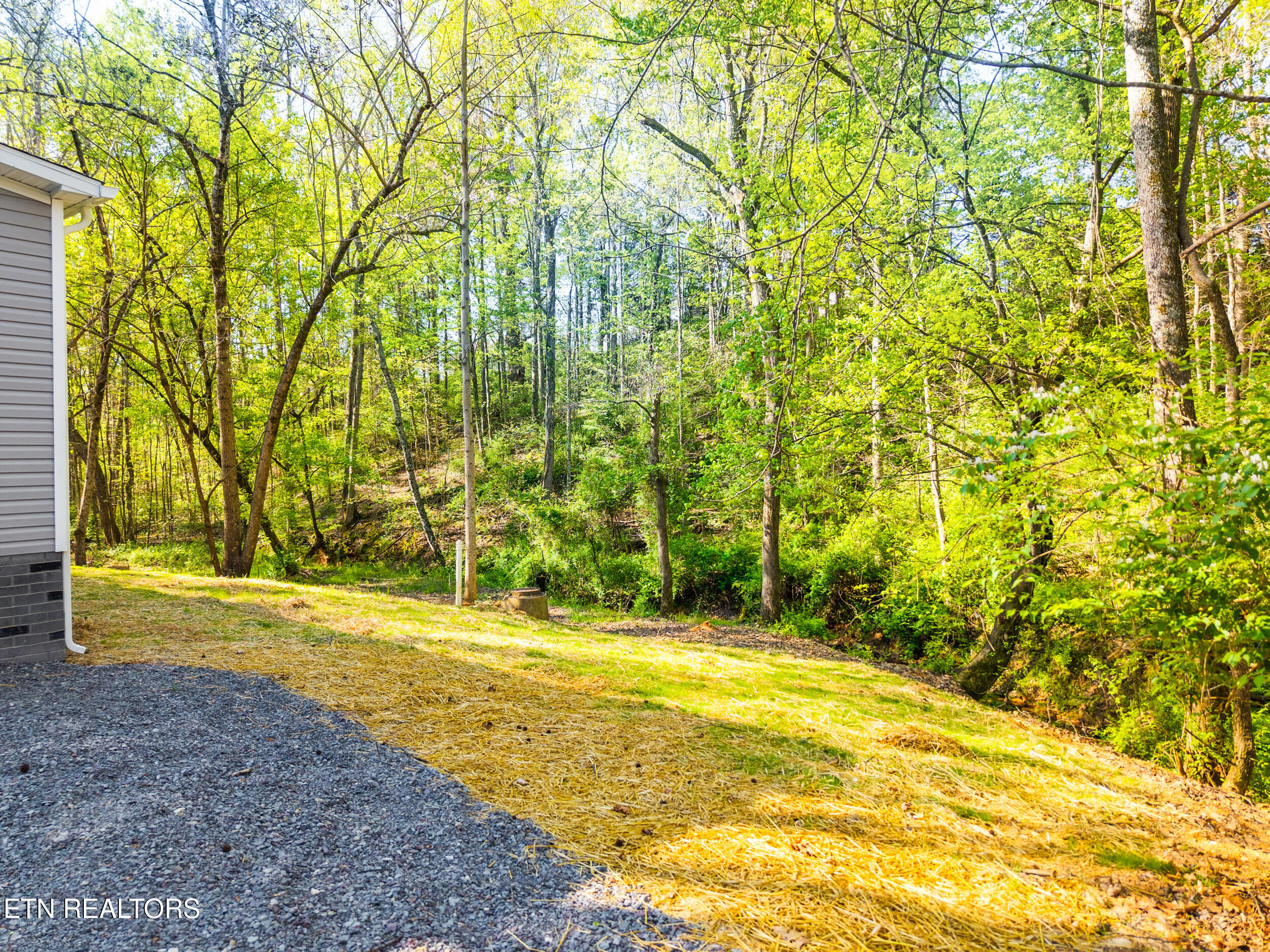 4727 Mccloud Road Knoxville TN 37938