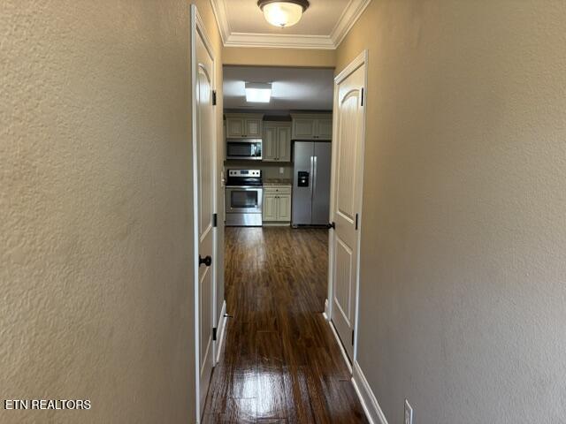 943 Elsborn Ridge Road Maryville TN 37801