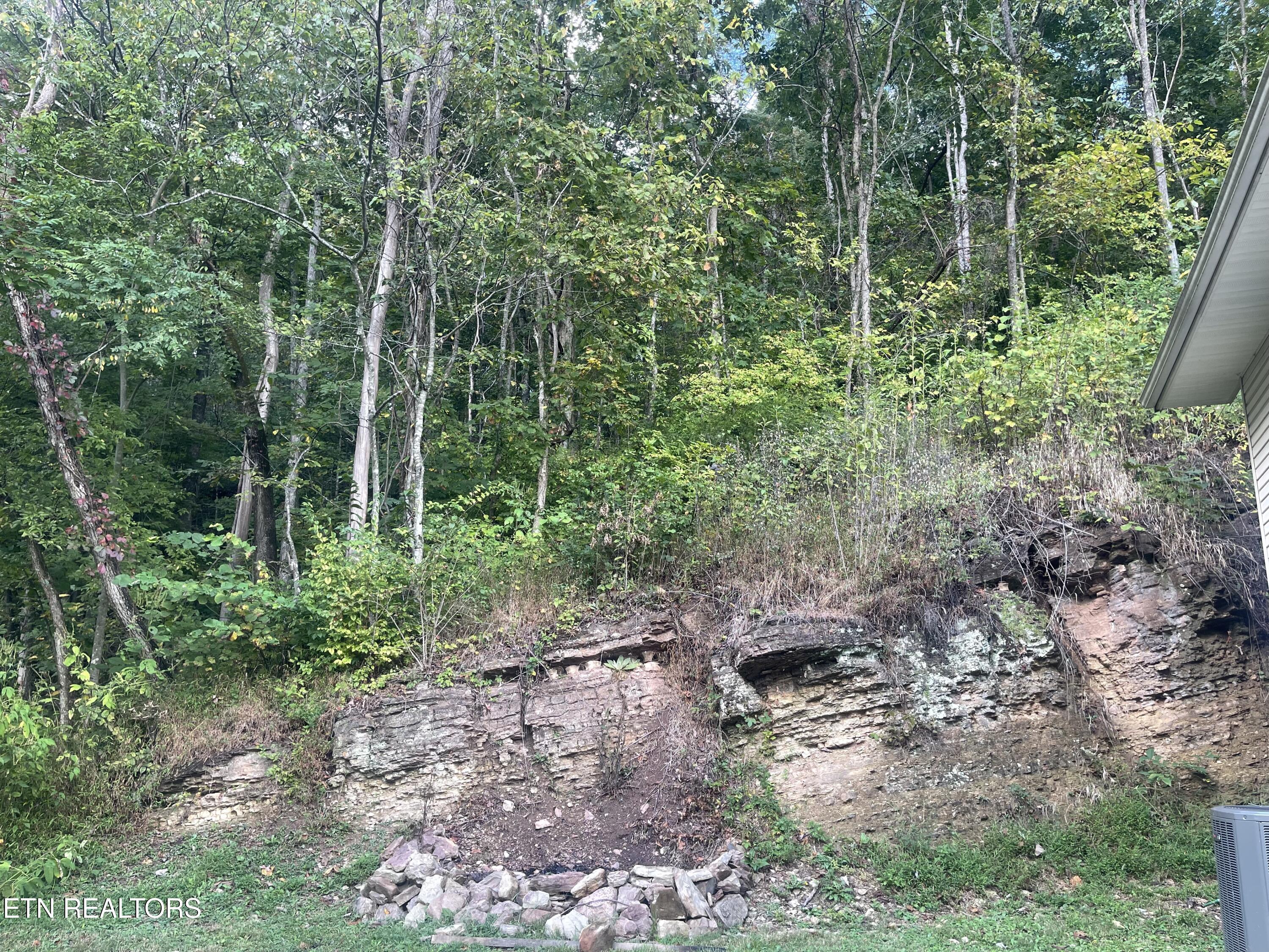 628 Nettleton Road Harrogate TN 37752