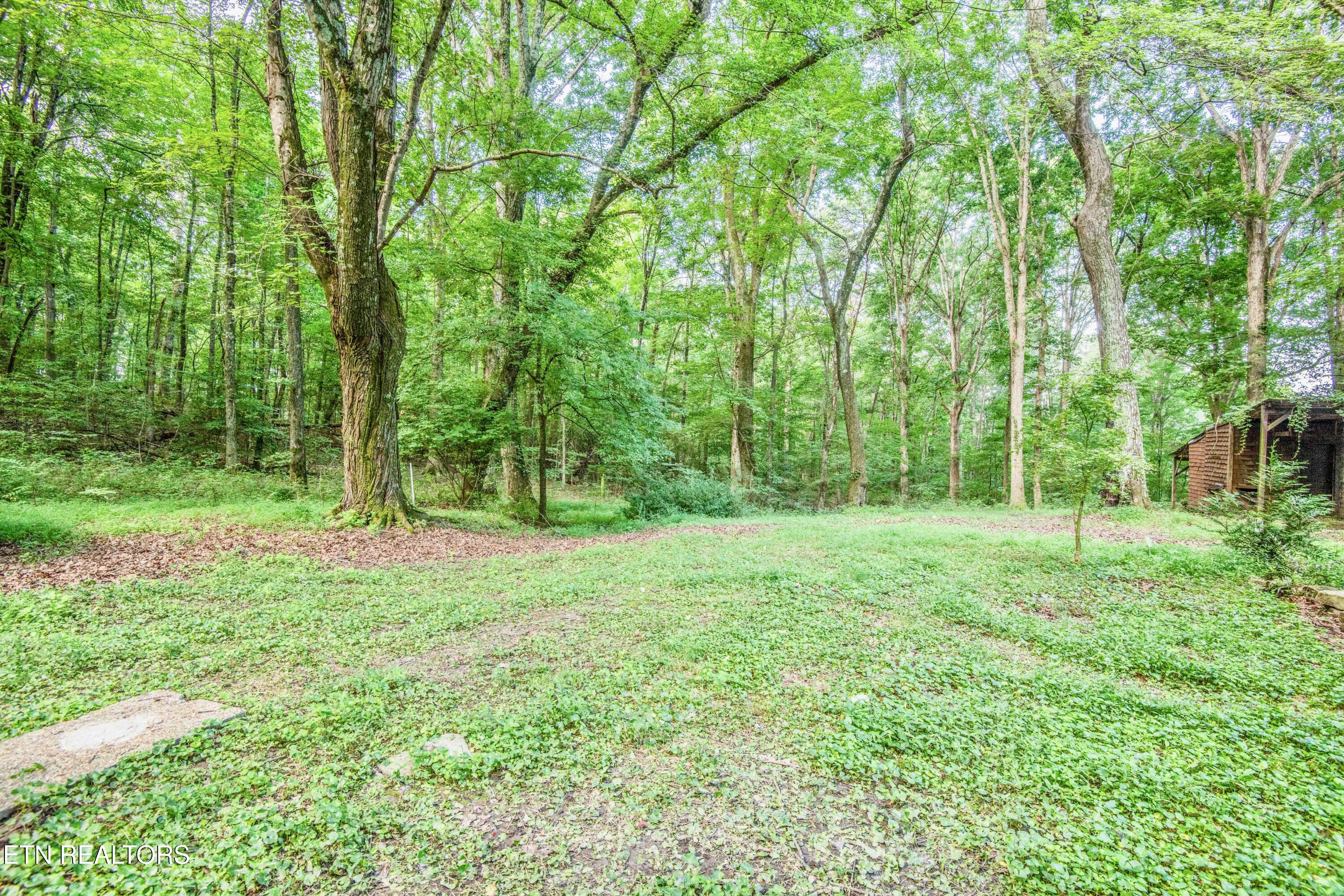 3690 Loudon Ridge Road Lenoir City TN 37771