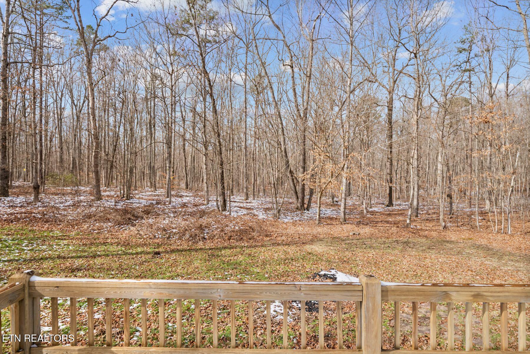 1365 Pilgrim Drive Grimsley TN 38565