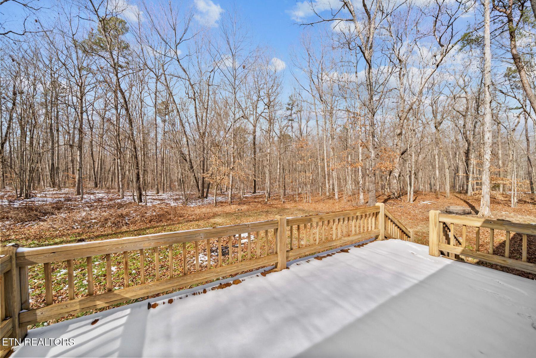 1365 Pilgrim Drive Grimsley TN 38565