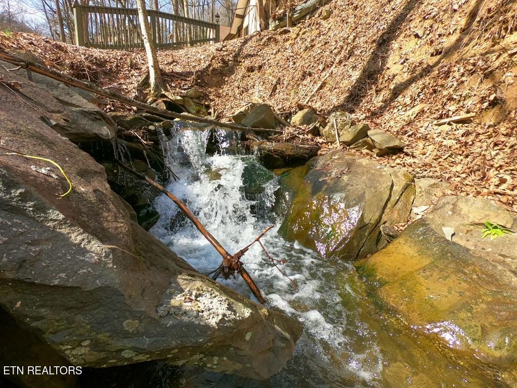 1110 Ski Mtn Road Gatlinburg TN 37738