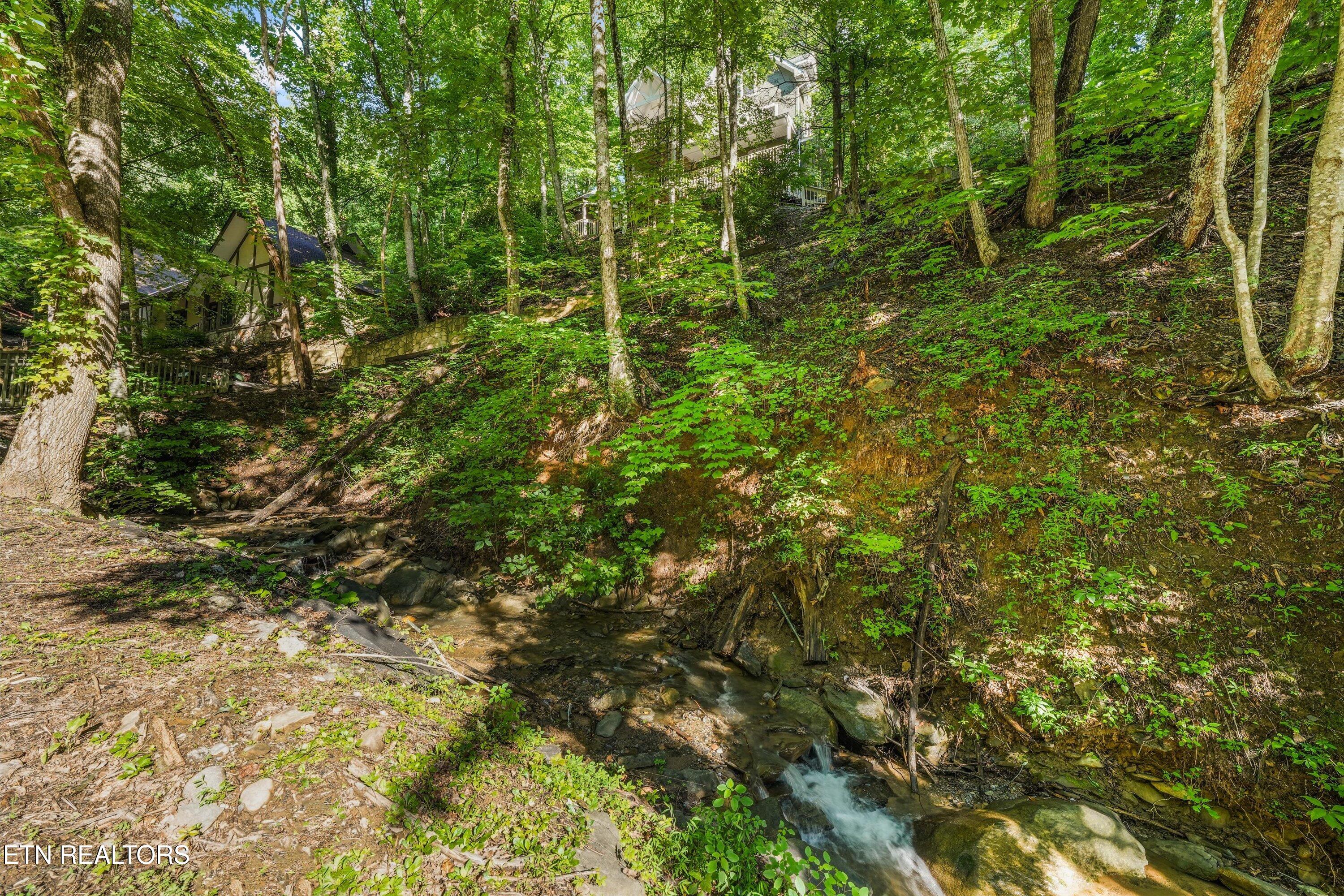 1110 Ski Mtn Road Gatlinburg TN 37738