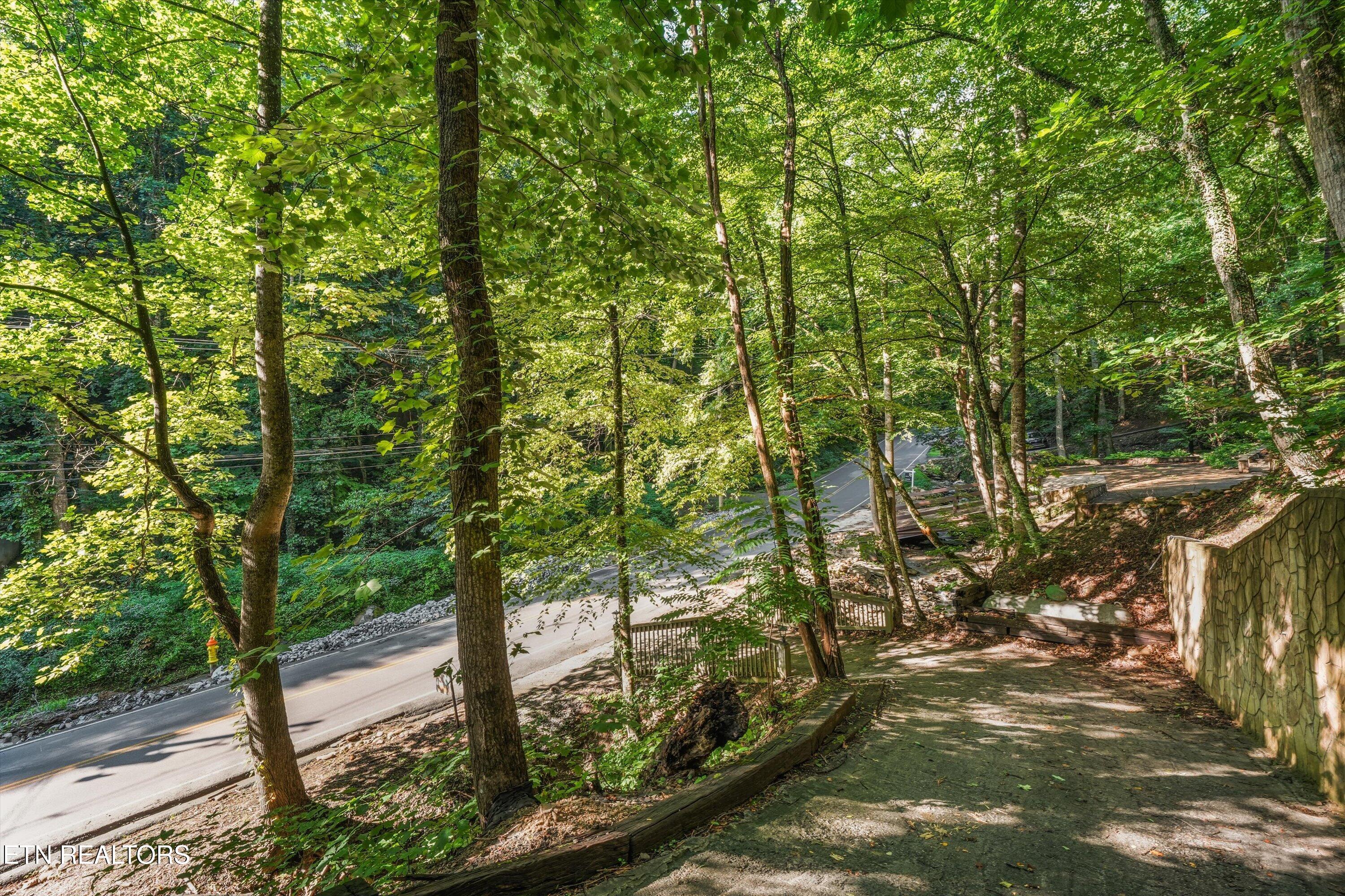 1110 Ski Mtn Road Gatlinburg TN 37738