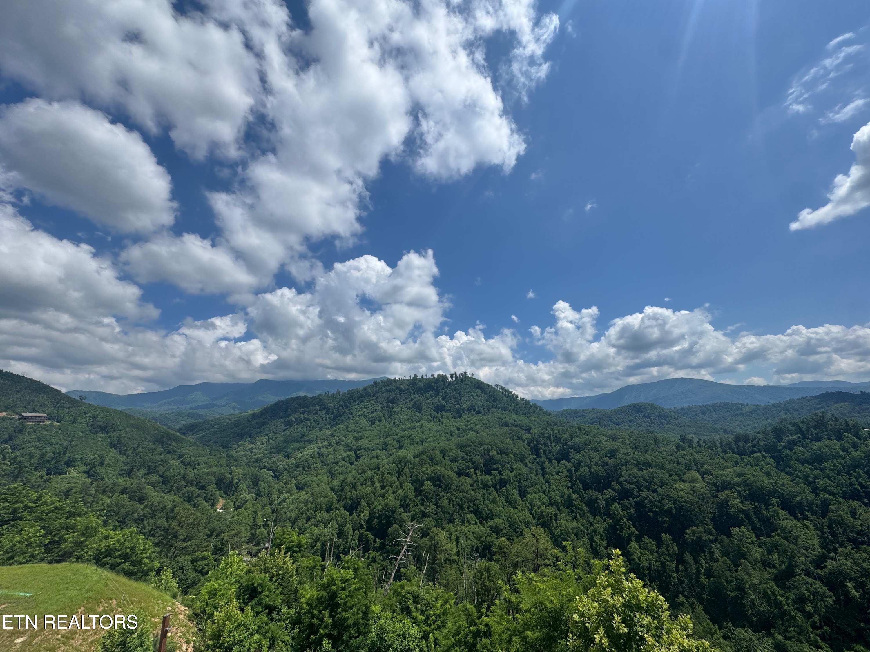 1110 Ski Mtn Road Gatlinburg TN 37738