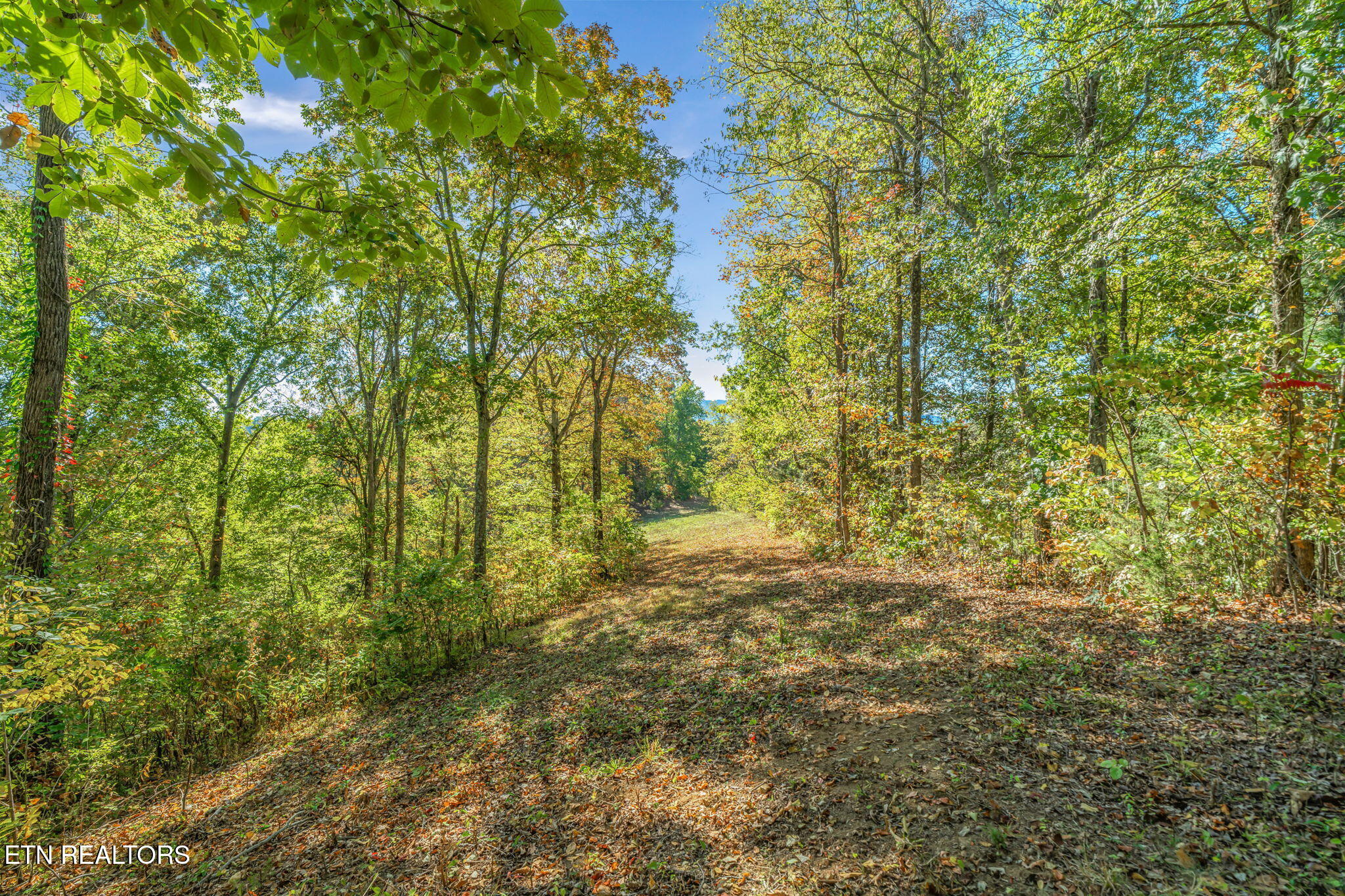 858 N Shiloh Road Seymour TN 37865