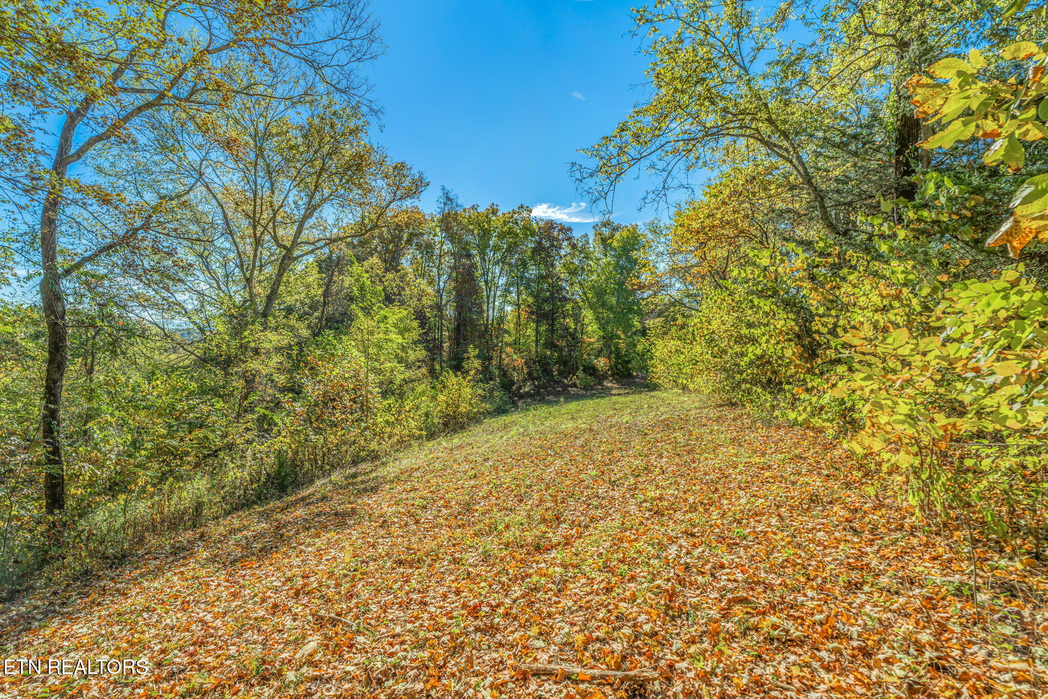 858 N Shiloh Road Seymour TN 37865