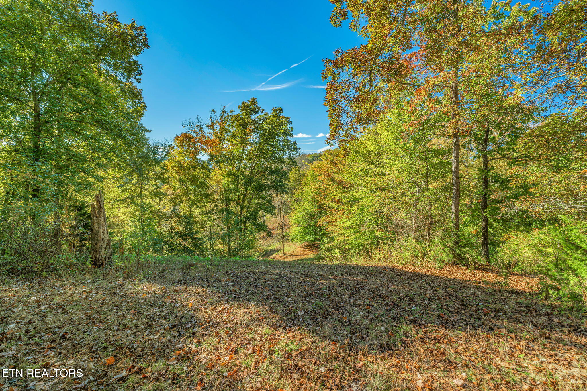858 N Shiloh Road Seymour TN 37865