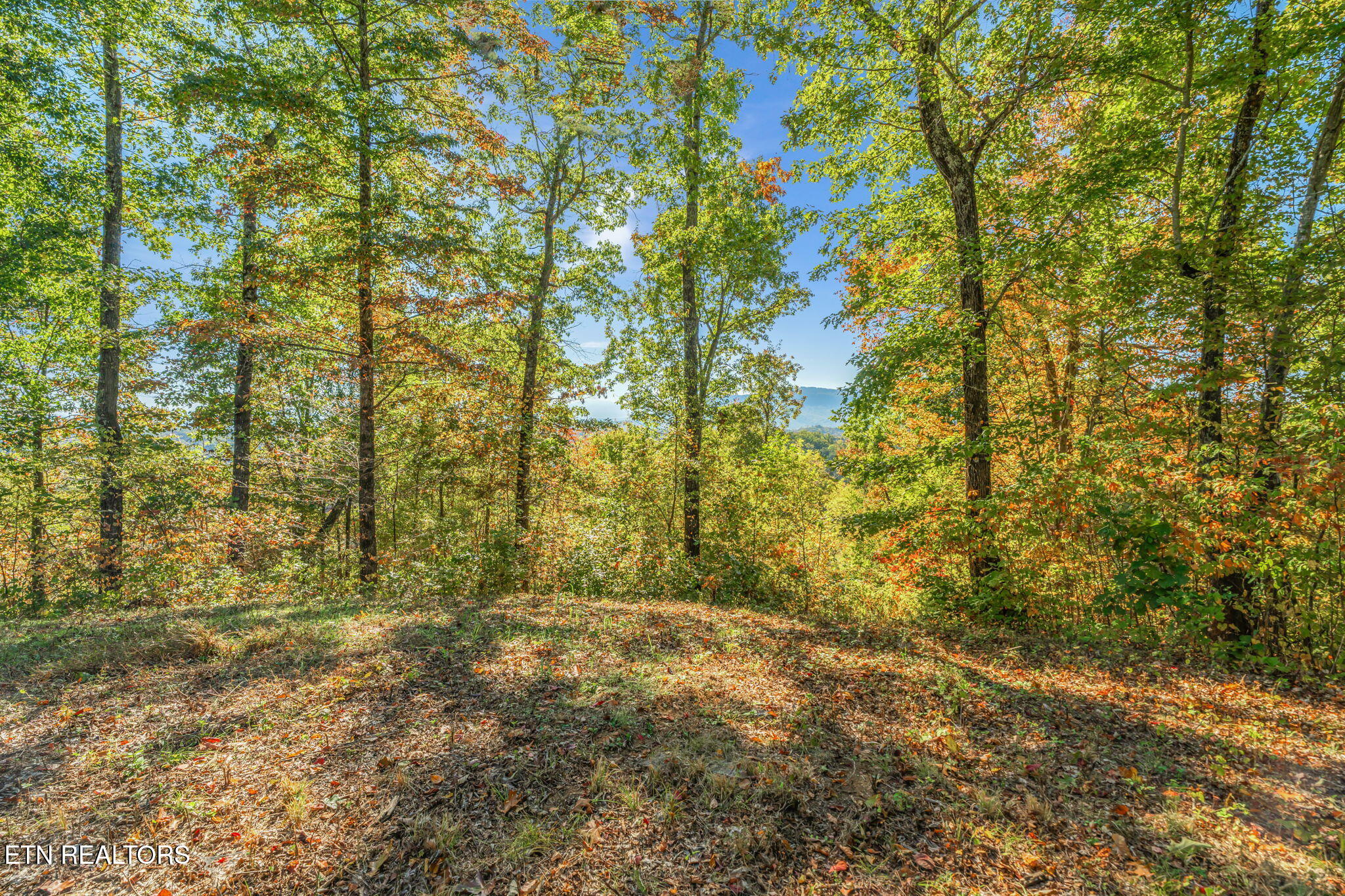 858 N Shiloh Road Seymour TN 37865