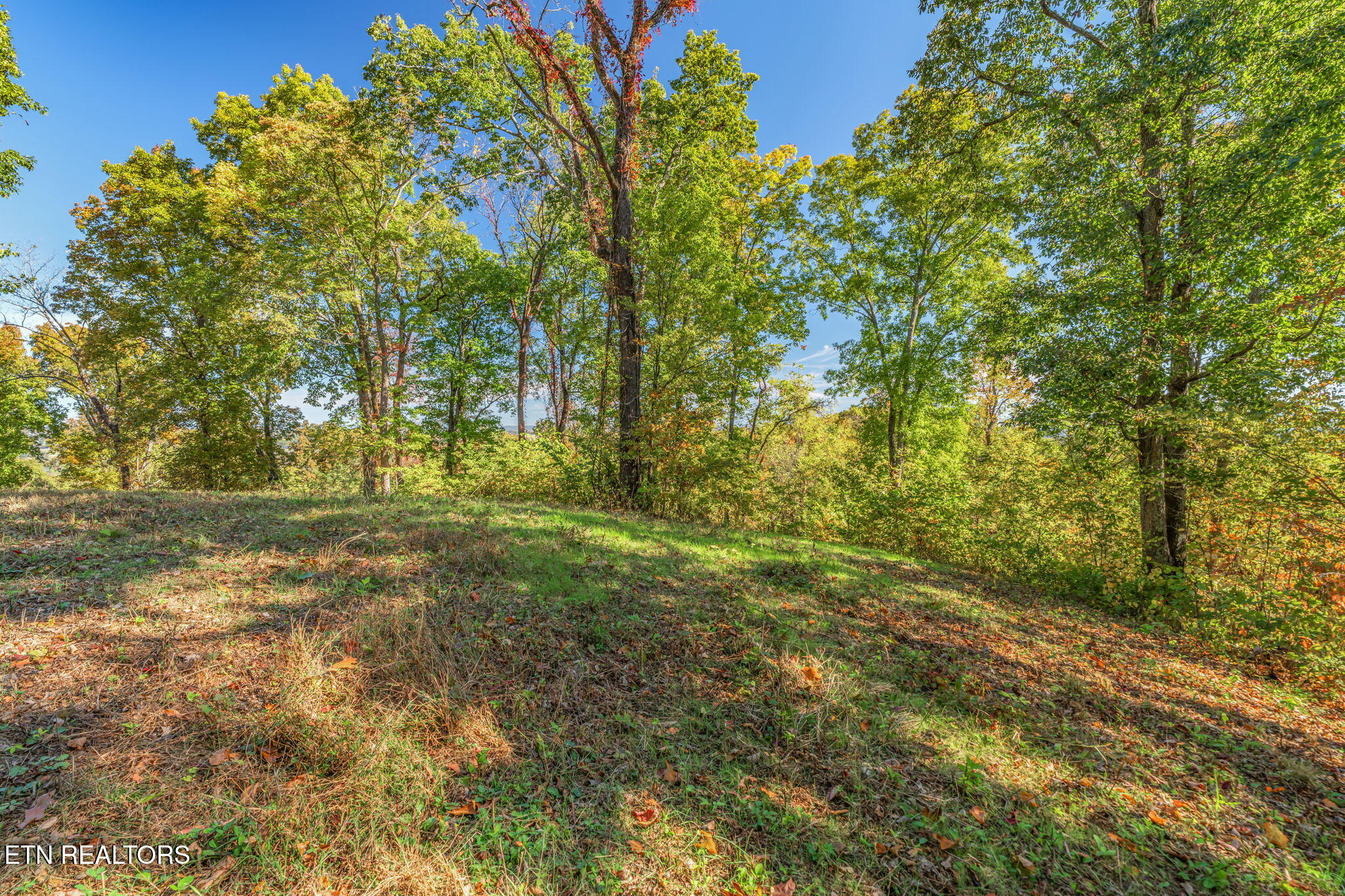 858 N Shiloh Road Seymour TN 37865